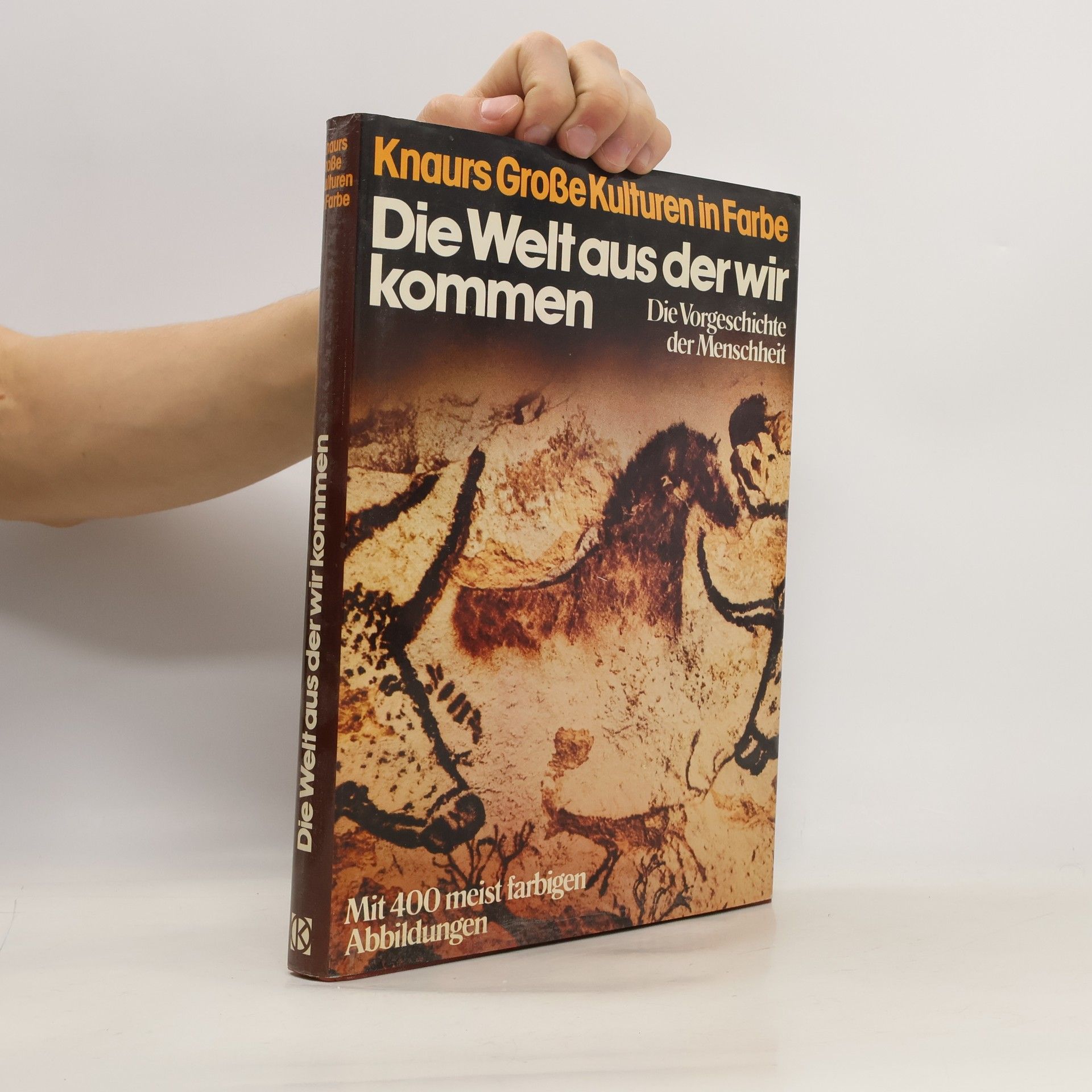 Die Welt, aus der wir kommen