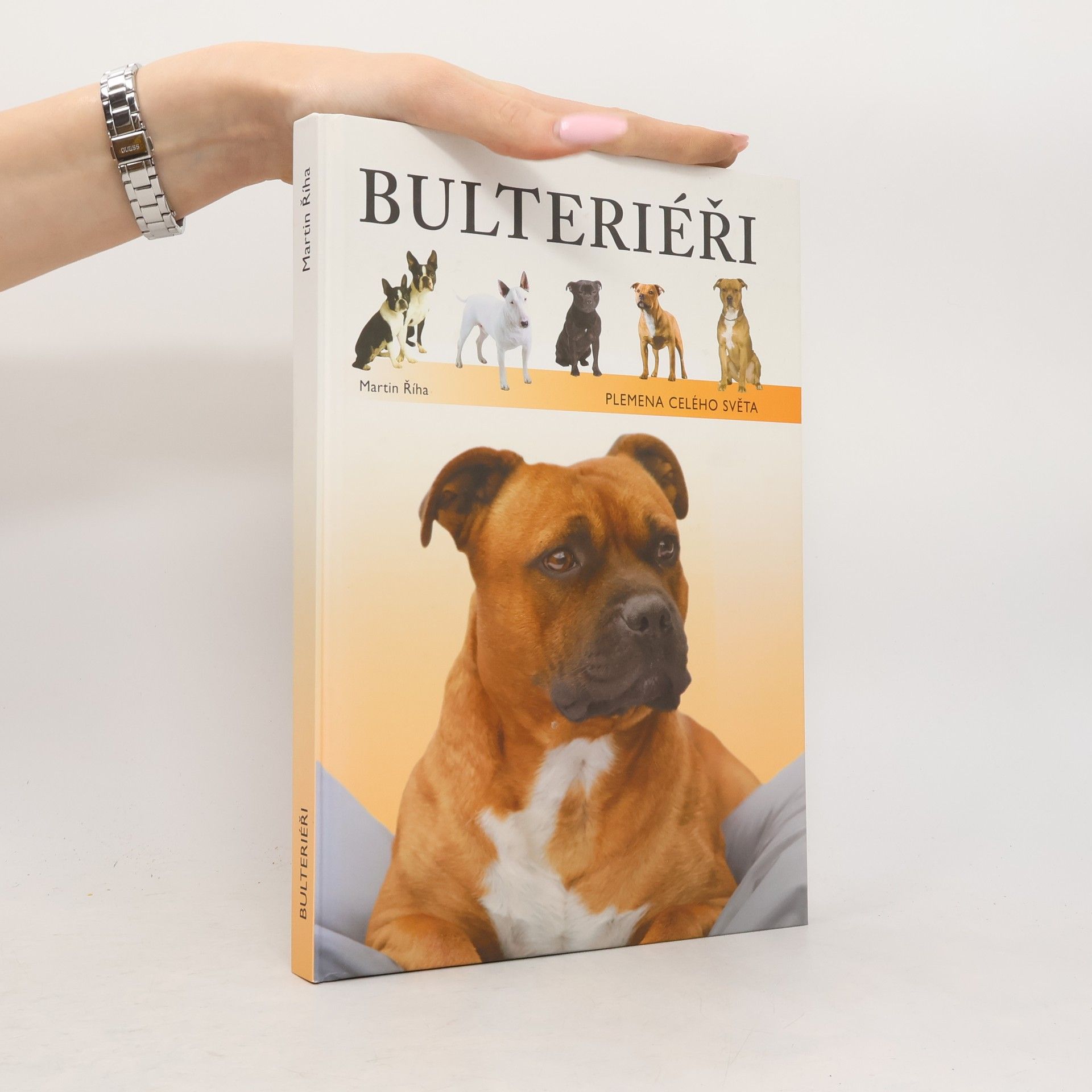 Martin Říha Bulteriéři