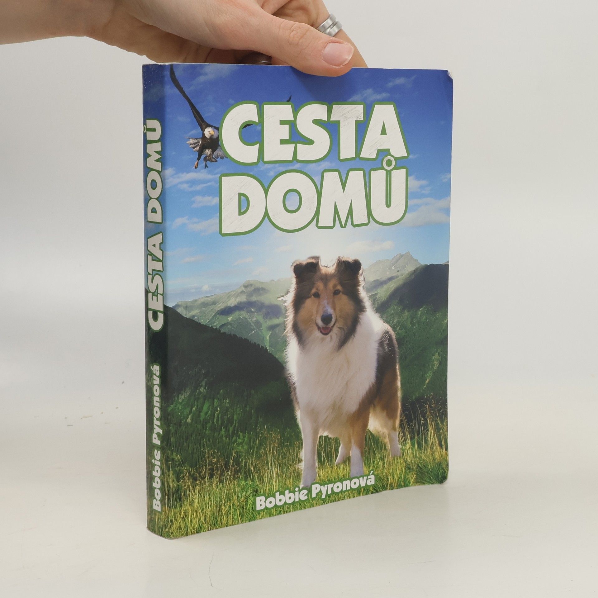 Bobbie Pyron Cesta domů