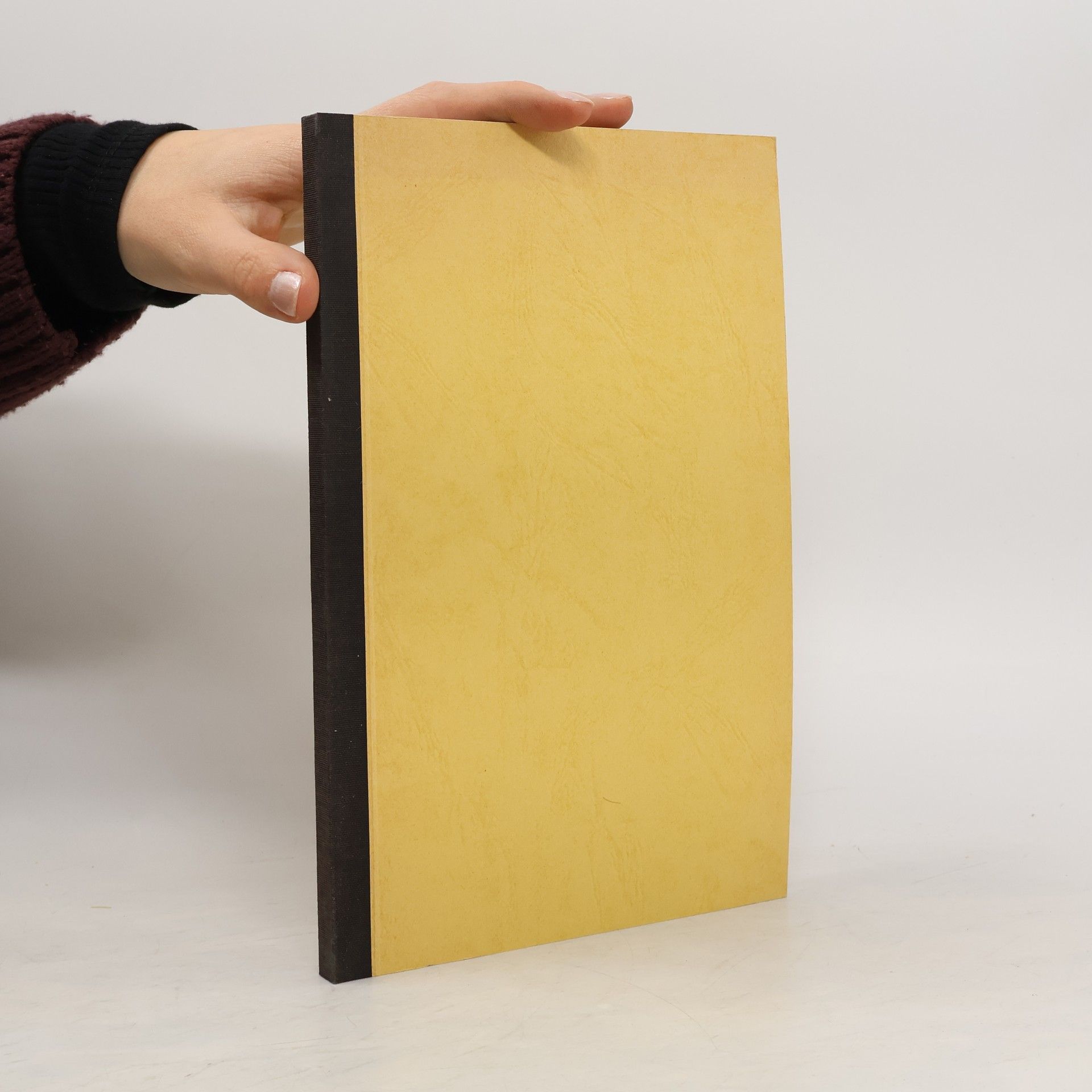 Maximilian Ferd. Gritzner Standes-Erhebungen und Gnaden-Acte Deutscher Landesfürsten