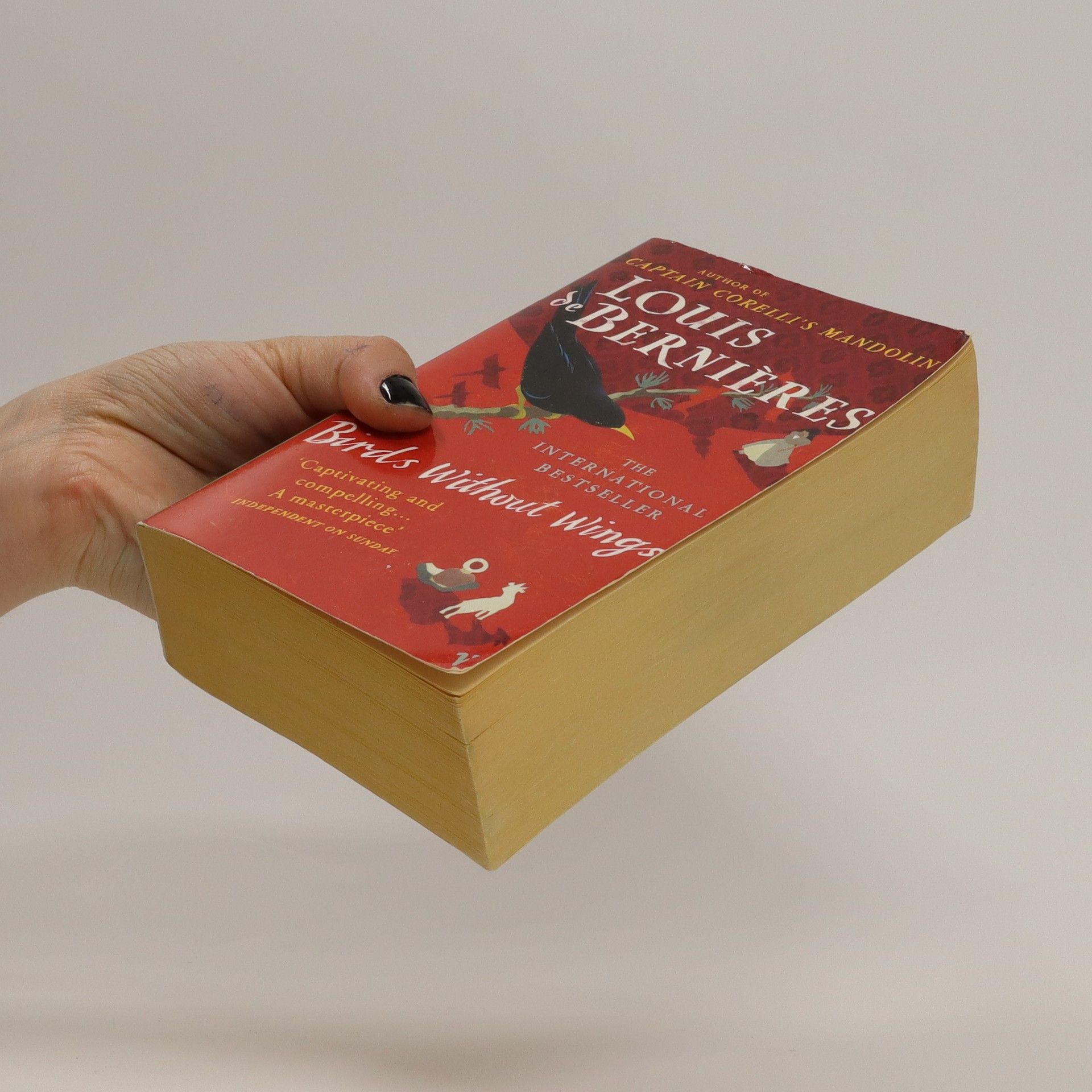 Louis de Bernières Birds without wings