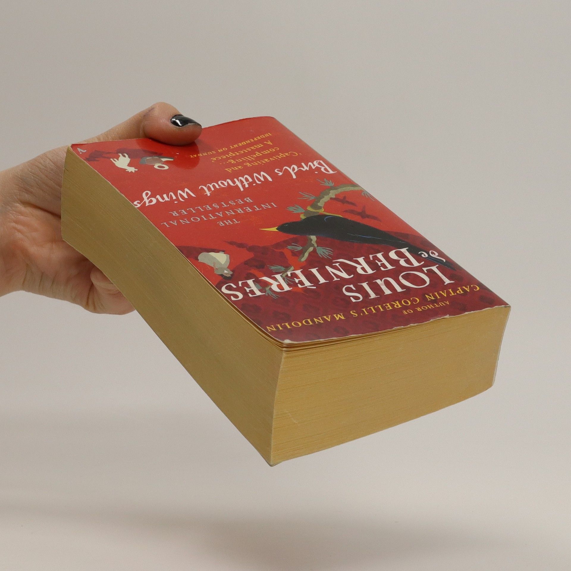 Louis de Bernières Birds without wings
