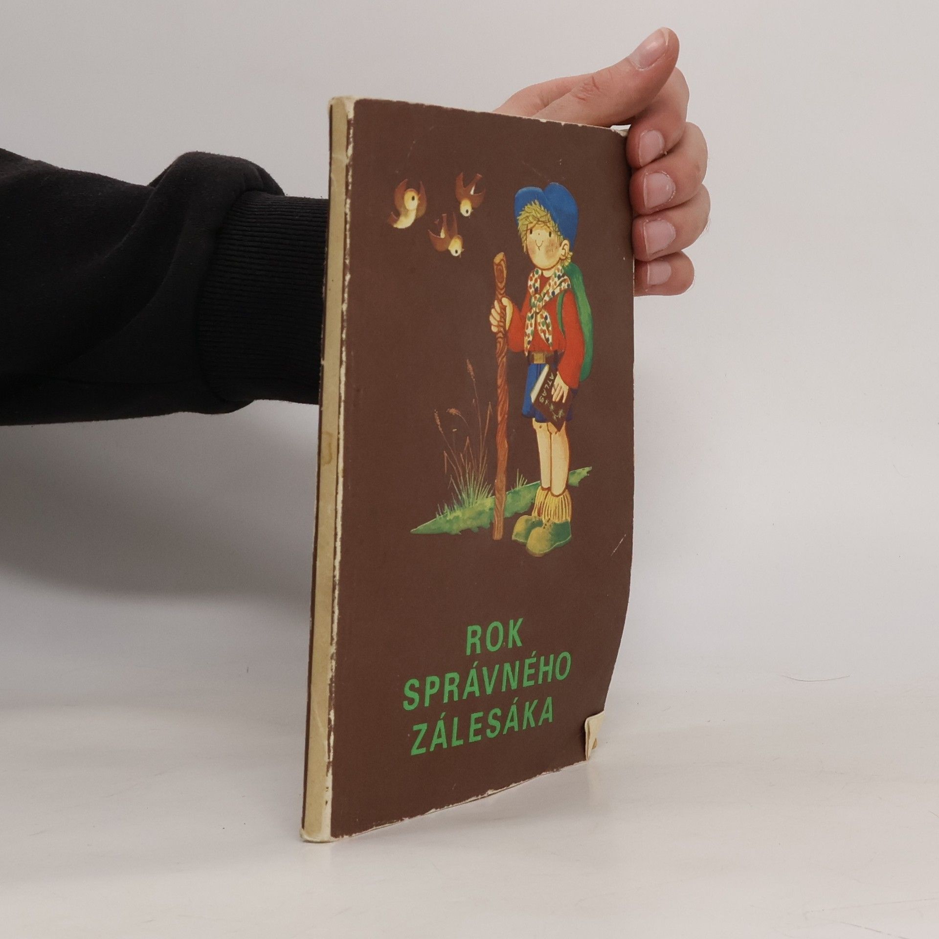 Edita Plicková Rok správného zálesáka