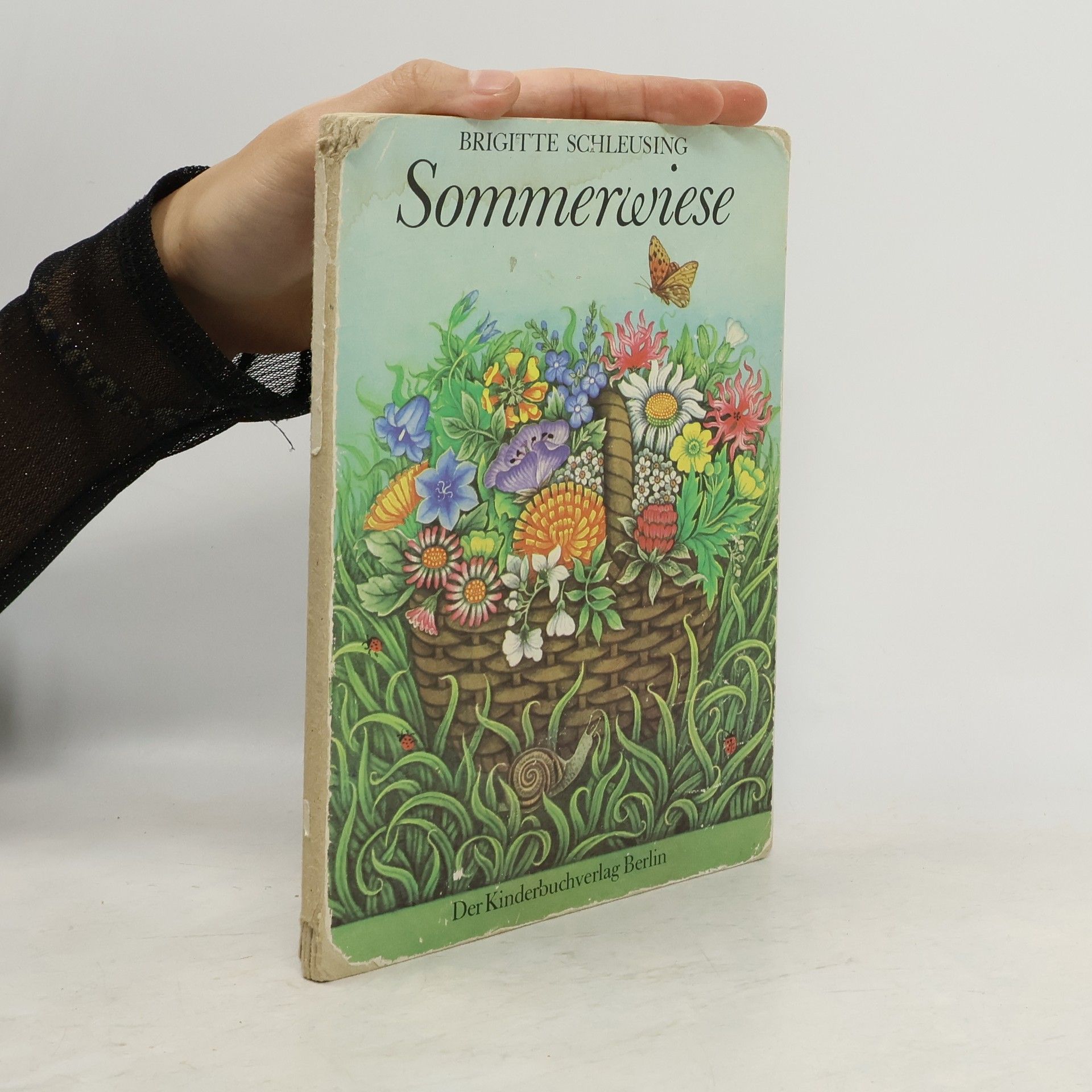 Brigitte Schleusing Sommerwiese