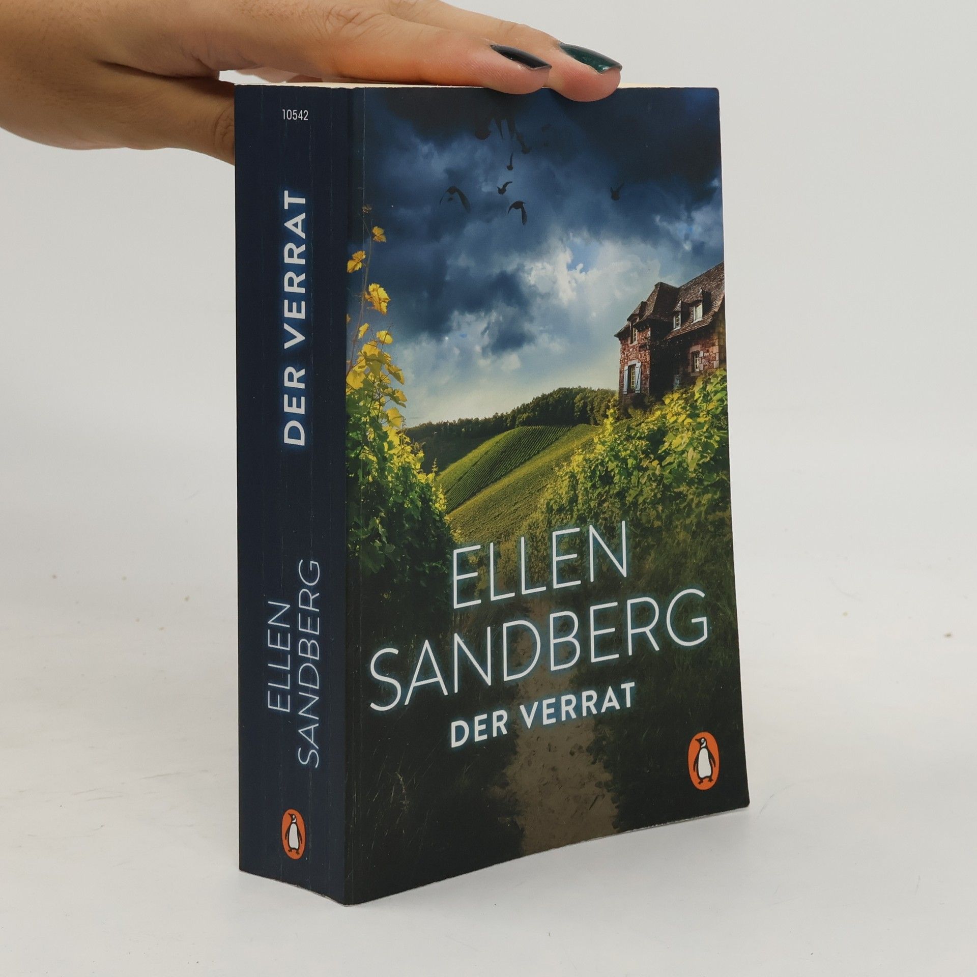 Ellen Sandberg Der Verrat
