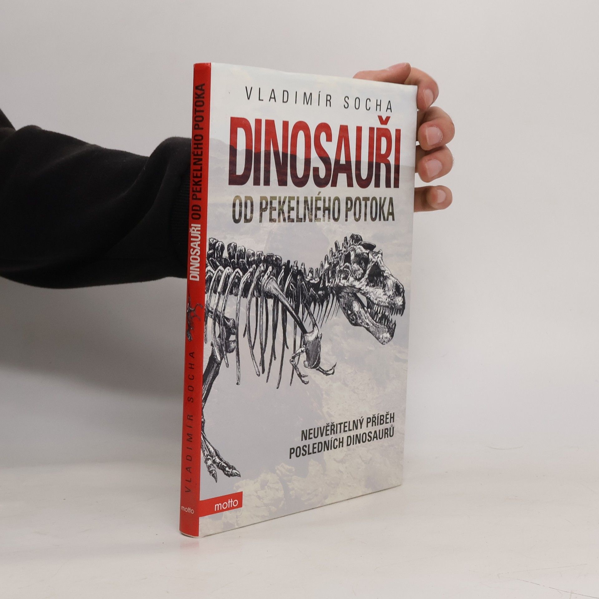 Vladimír Socha Dinosauři od Pekelného potoka