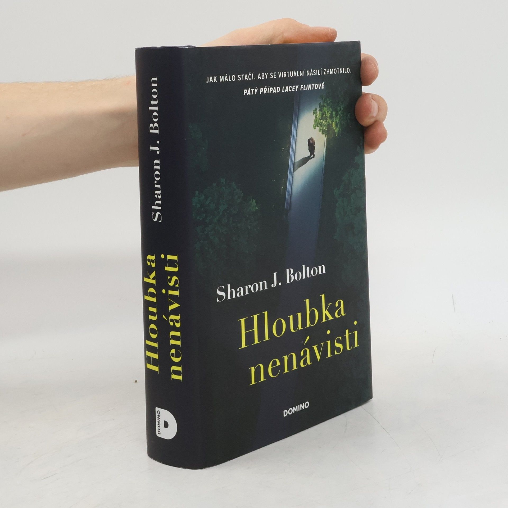 Sharon J. Bolton Hloubka nenávisti