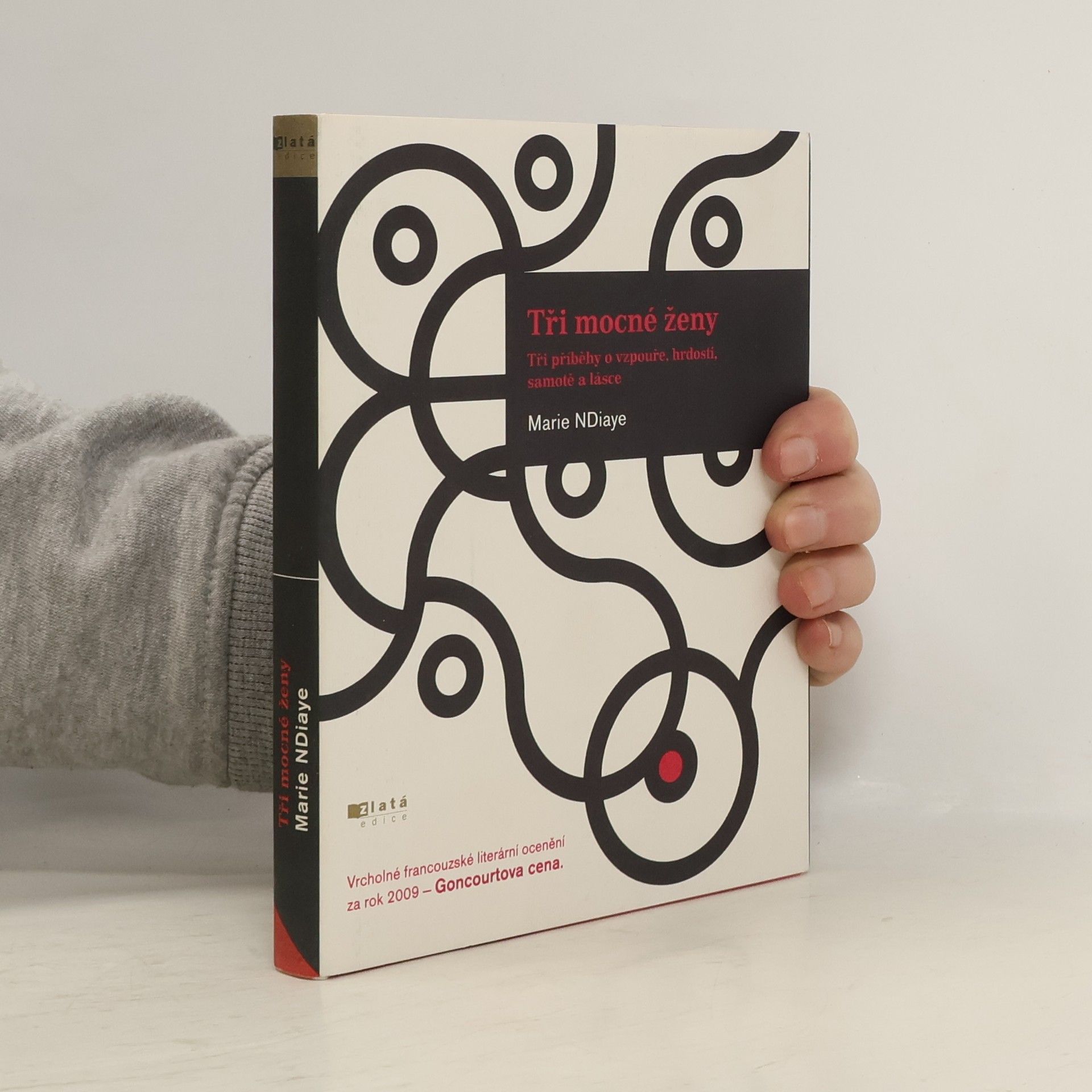 Marie Ndiaye Tři mocné ženy