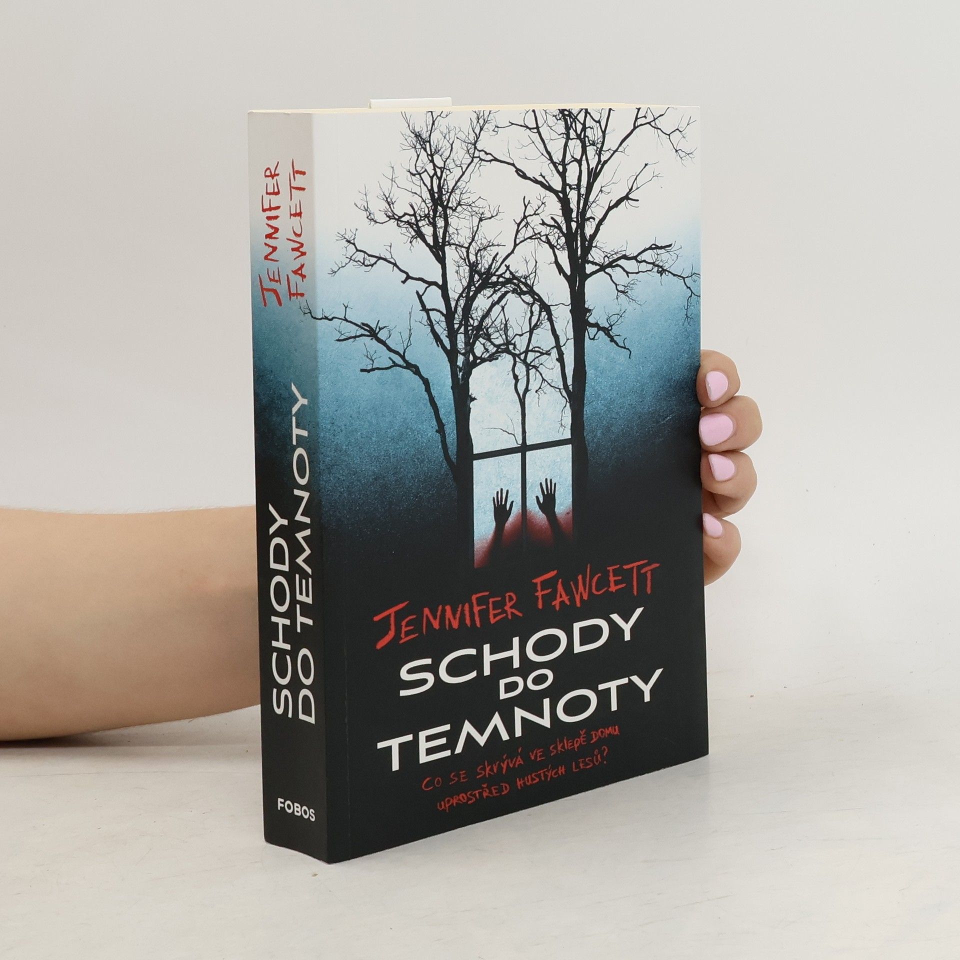 Jennifer Fawcett Schody do temnoty