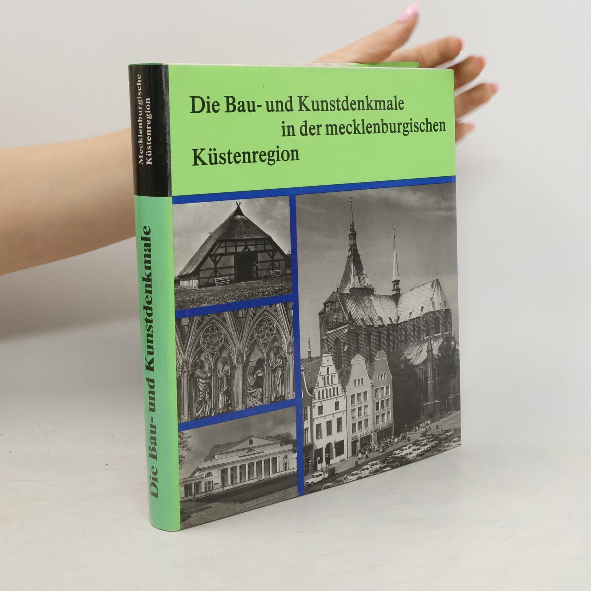 Gerd-Rainer Baier Die Bau- und Kunstdenkmale in der mecklenburgischen Küstenregion