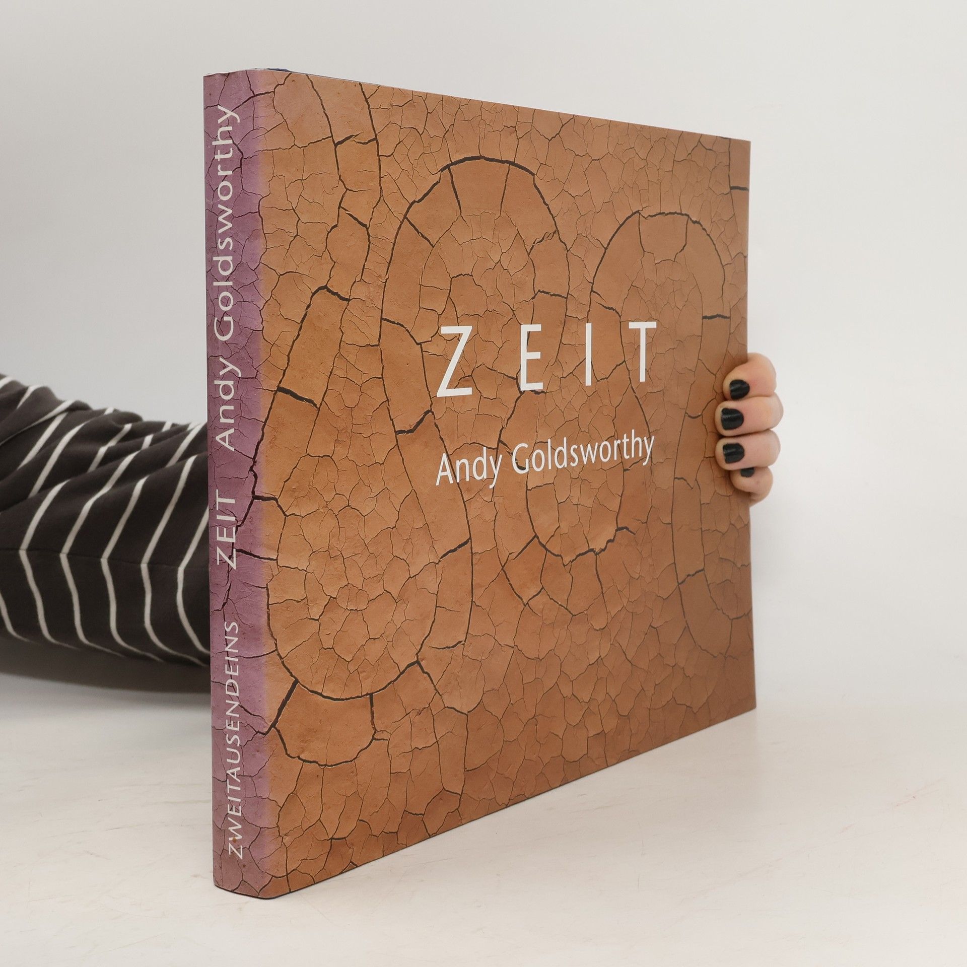 Andy Goldsworthy Zeit