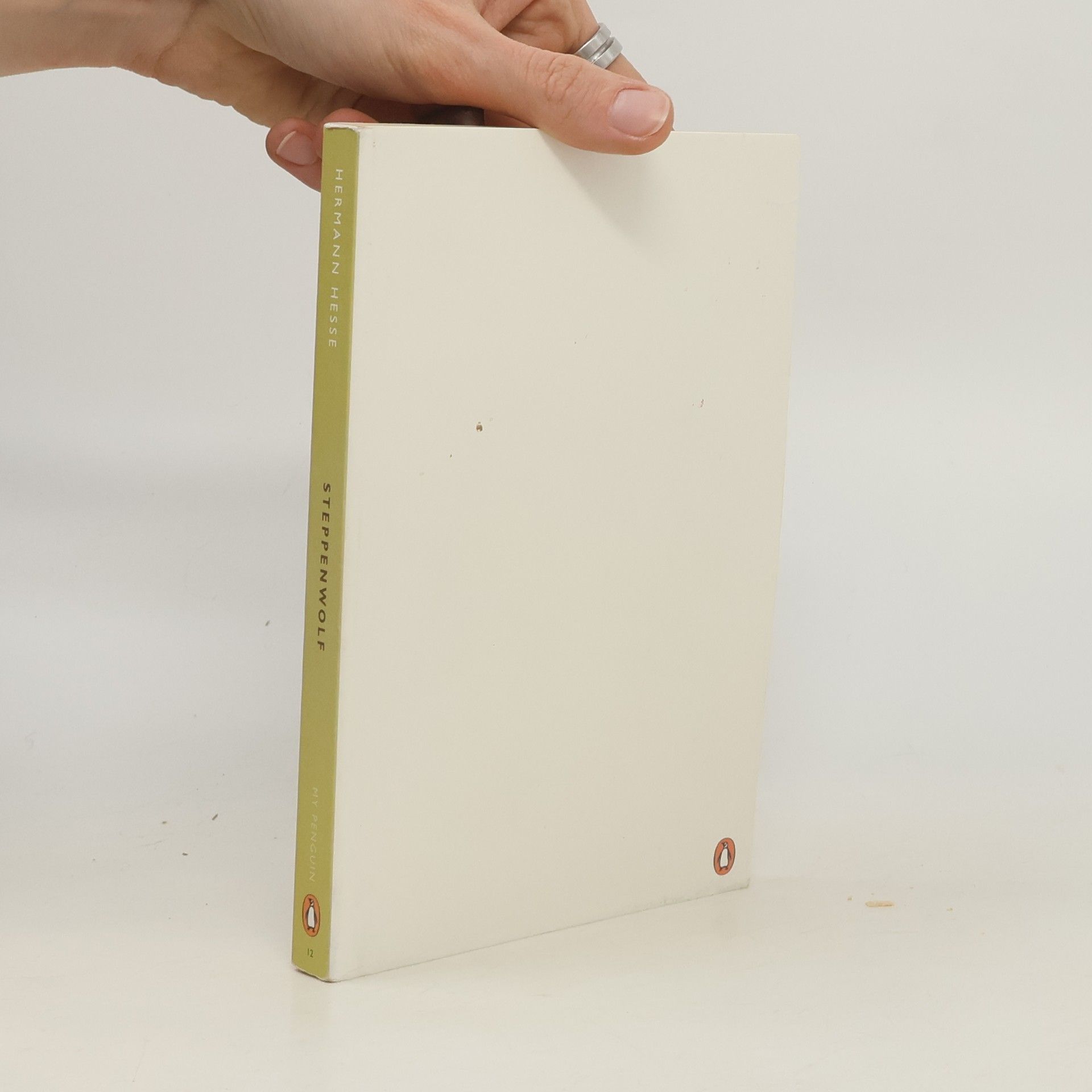 Hermann Hesse My Penguin - 12: Steppenwolf