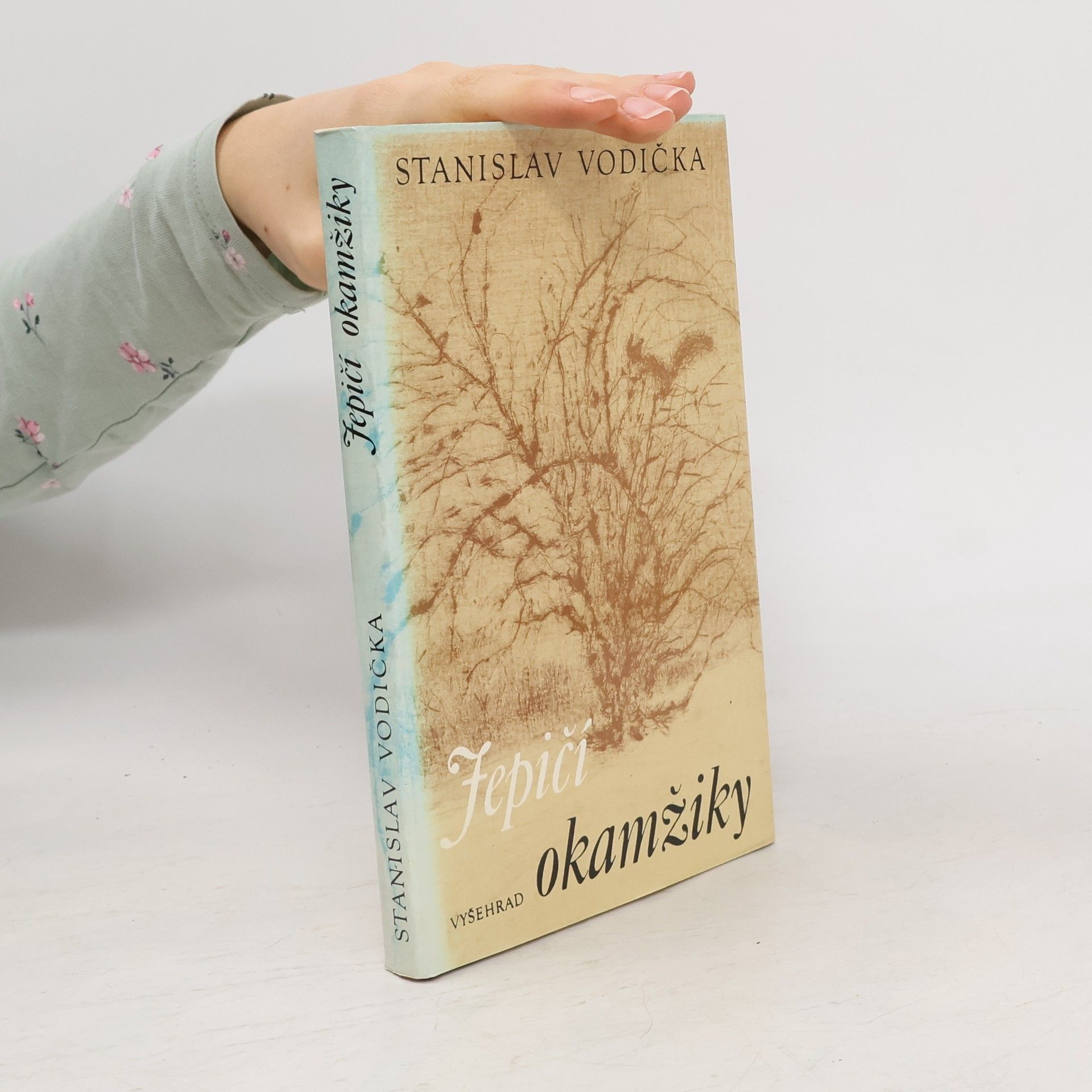 Stanislav Vodička Jepičí okamžiky