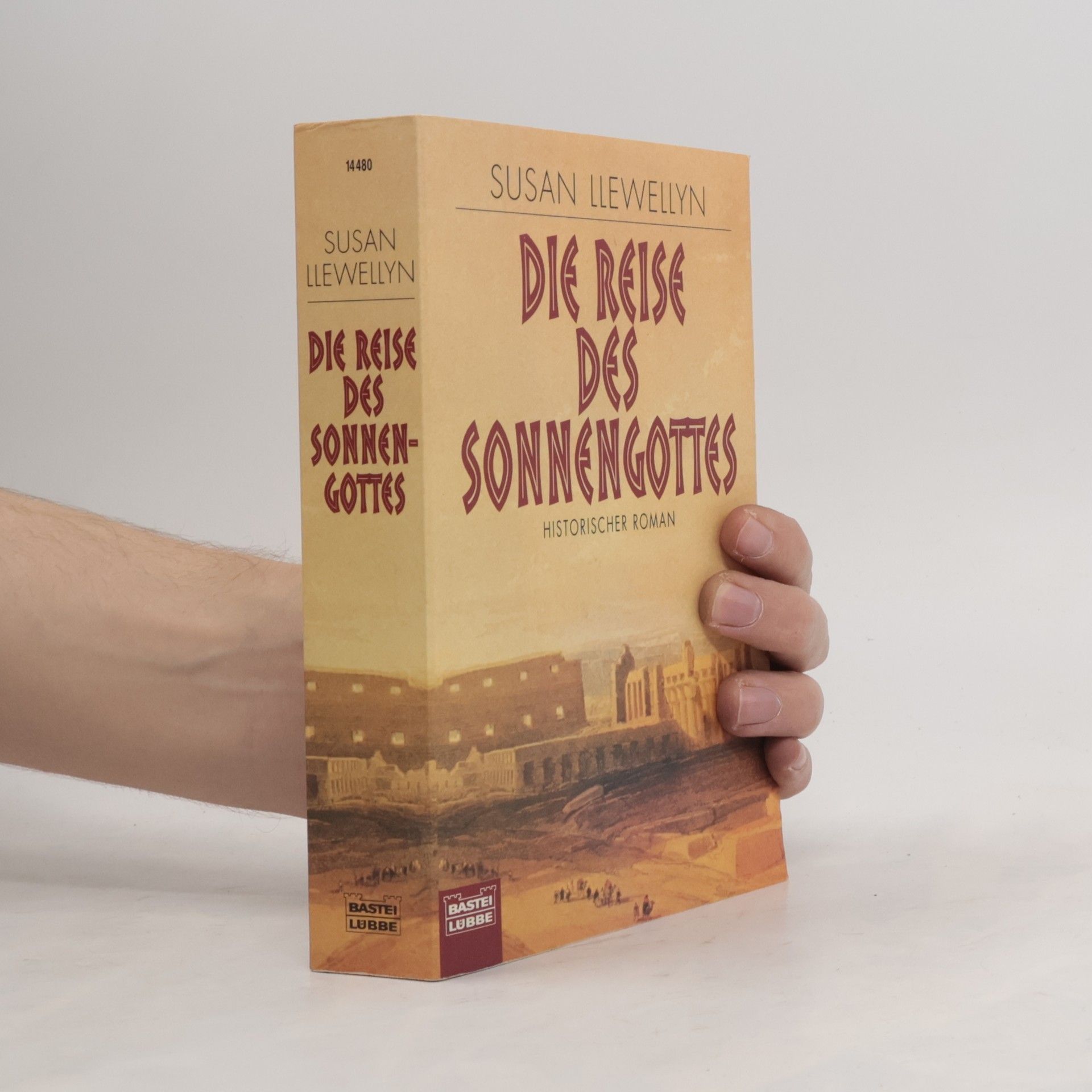 Susan Llewellyn Die Reise des Sonnengottes