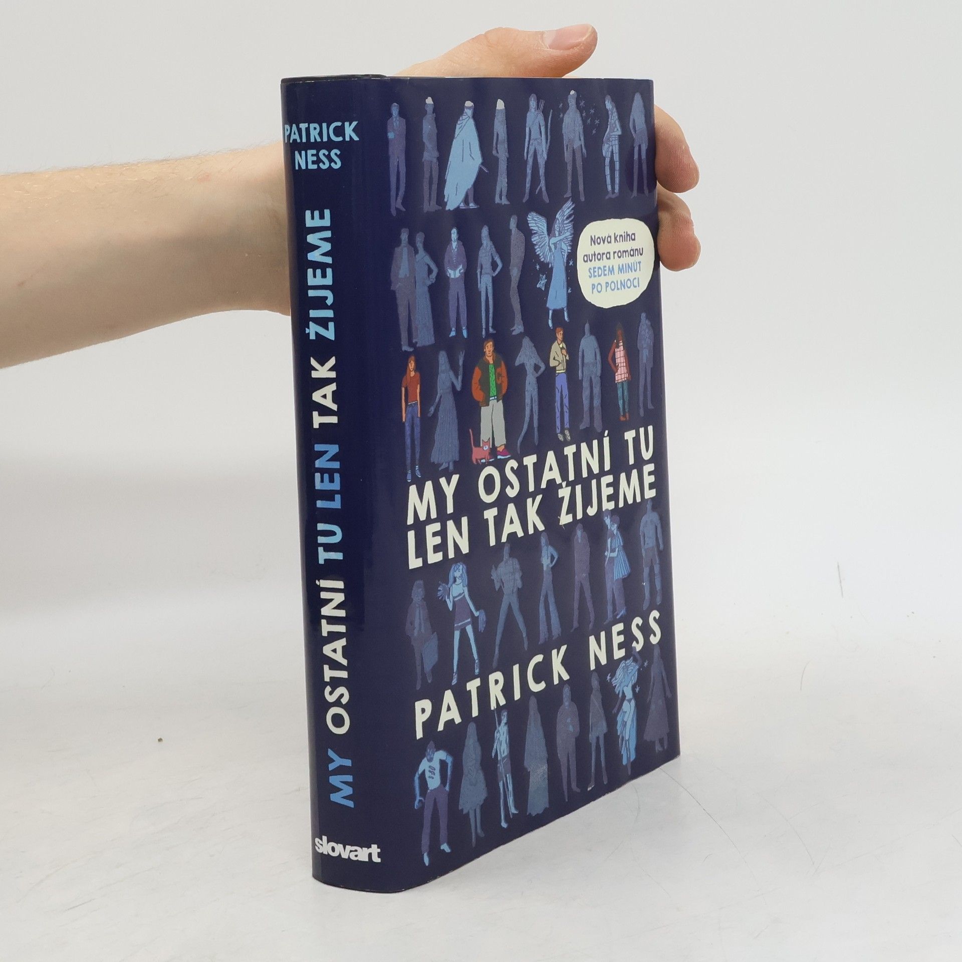 Patrick Ness My ostatní tu len tak žijeme