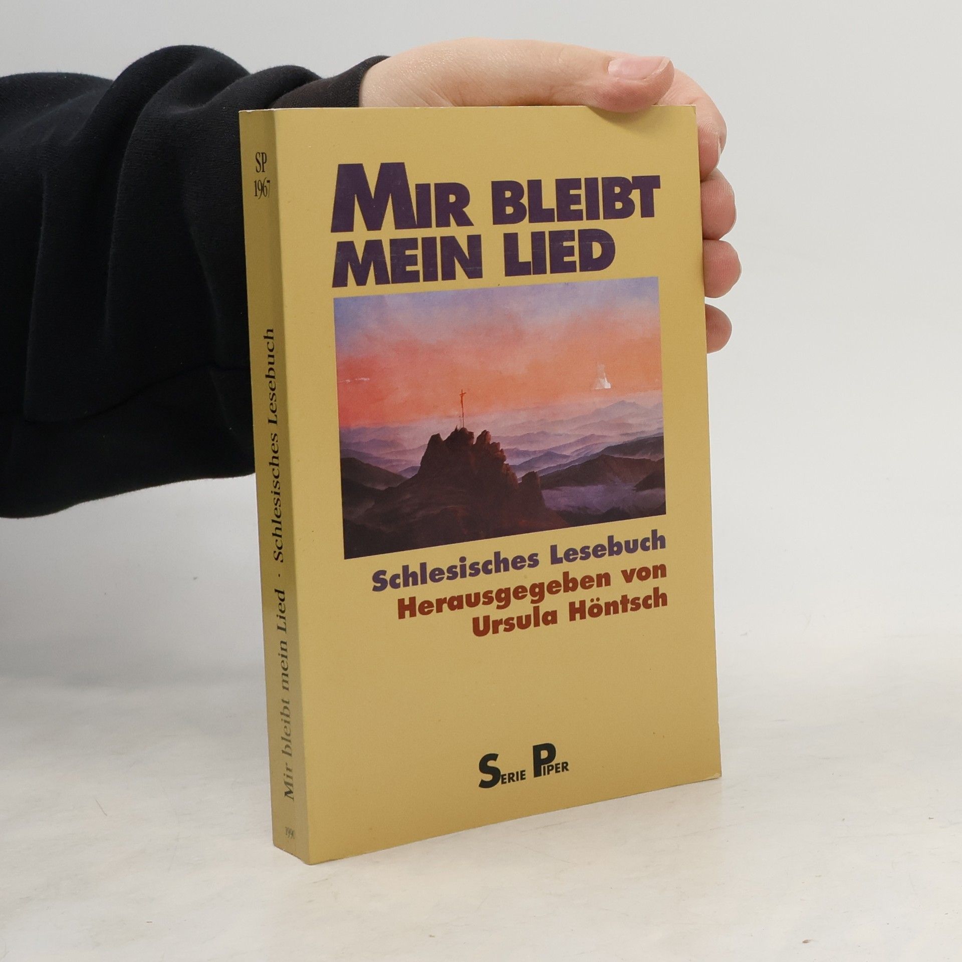 Mir bleibt mein Lied