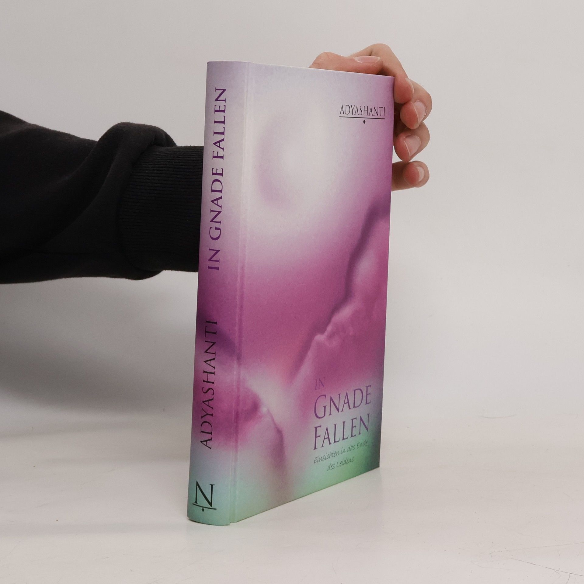 Adyashanti In Gnade fallen: Einsichten in das Ende des Leidens
