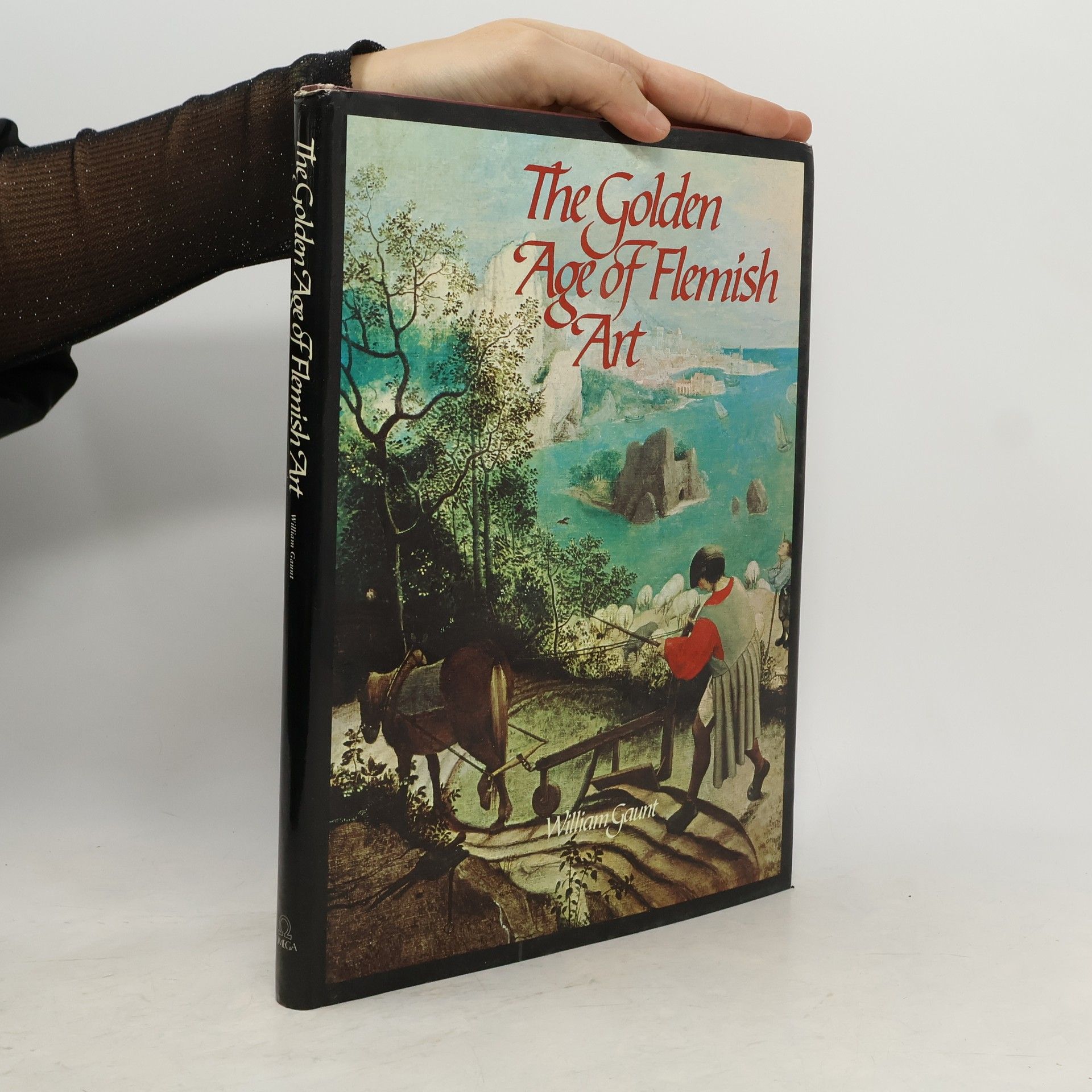 Kolektiv autorů The Golden Age of Flemish Art