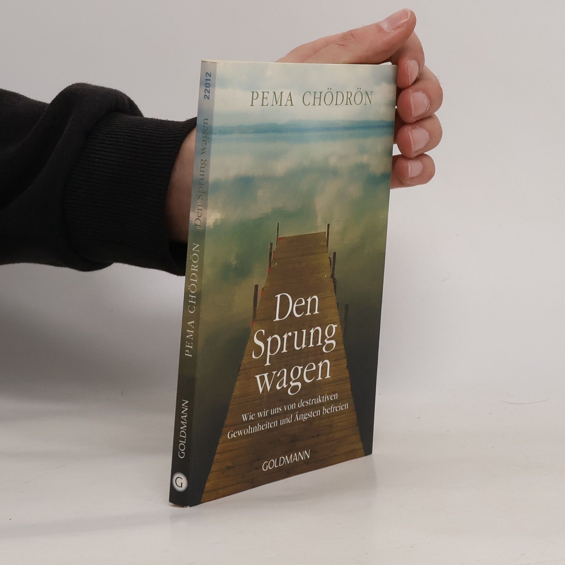 Pema Chödrön Den Sprung wagen