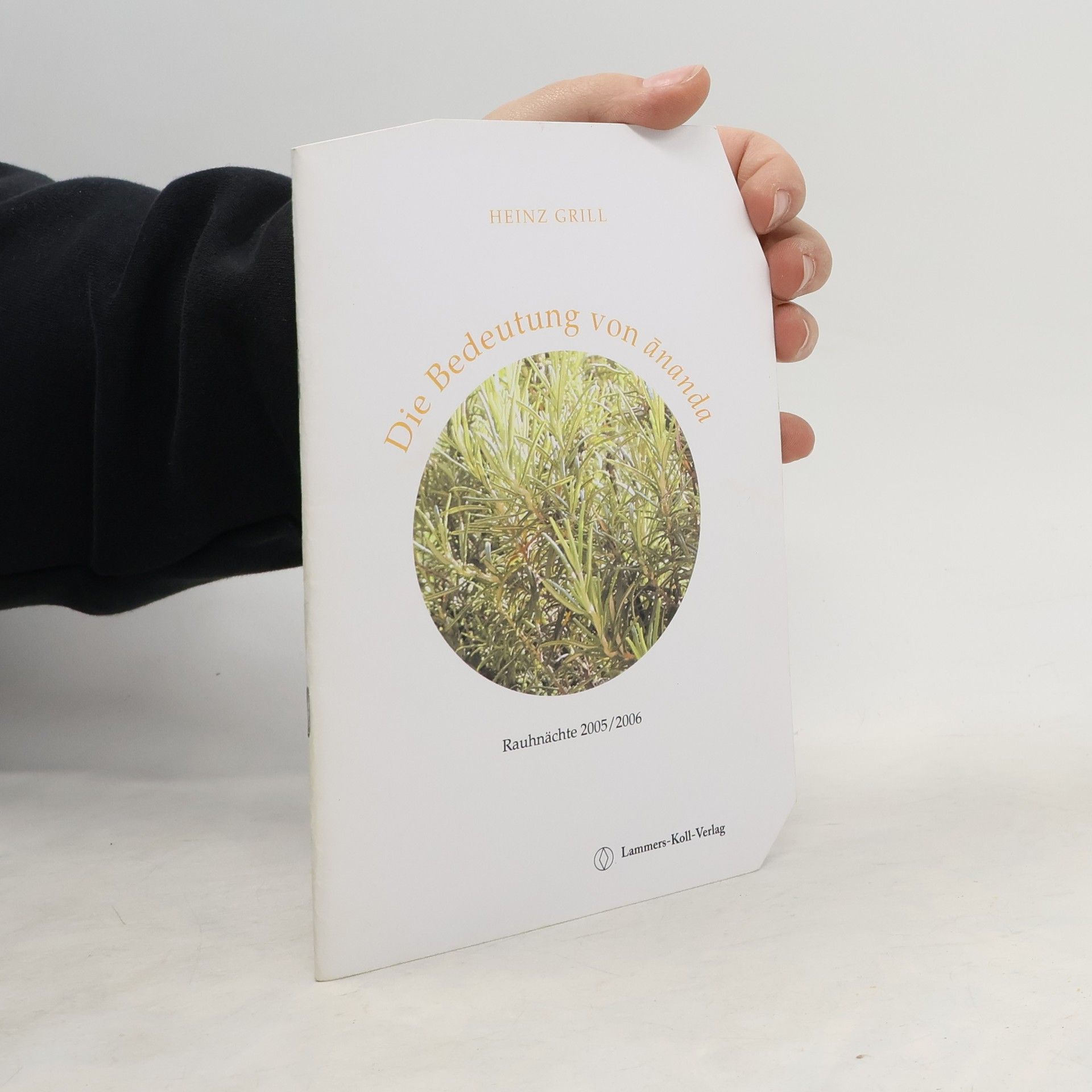 Heinz Grill Die Bedeutung von Ananda