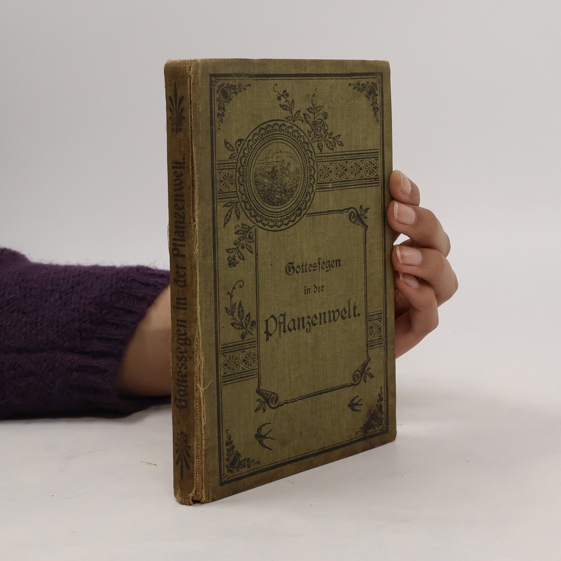 Gottessegen in der Pflanzenwelt