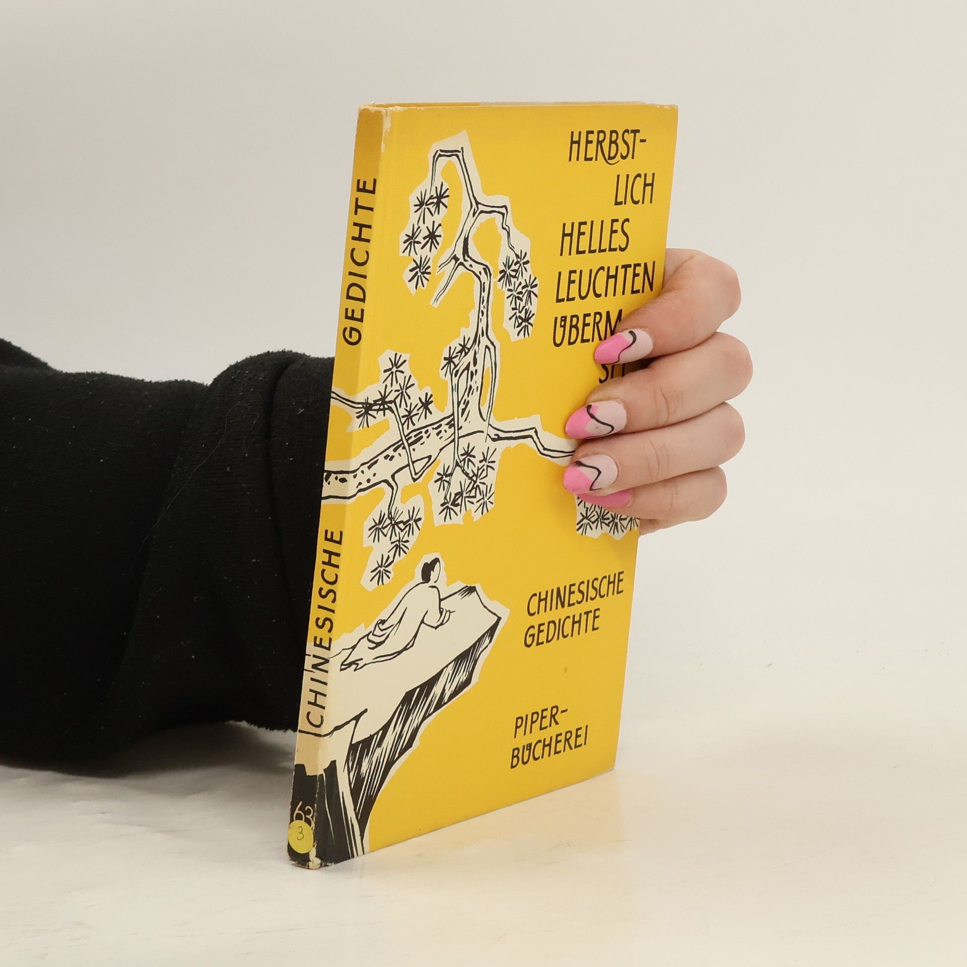 Kolektiv autorů Chinesische Gedichte