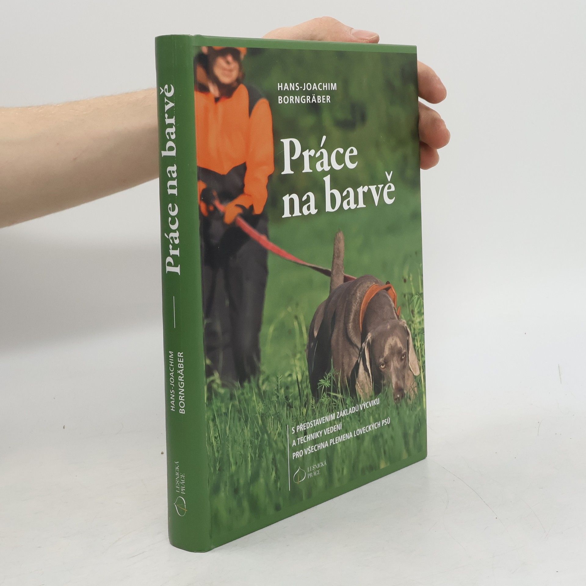 Hans-Joachim Borngräber Práce na barvě