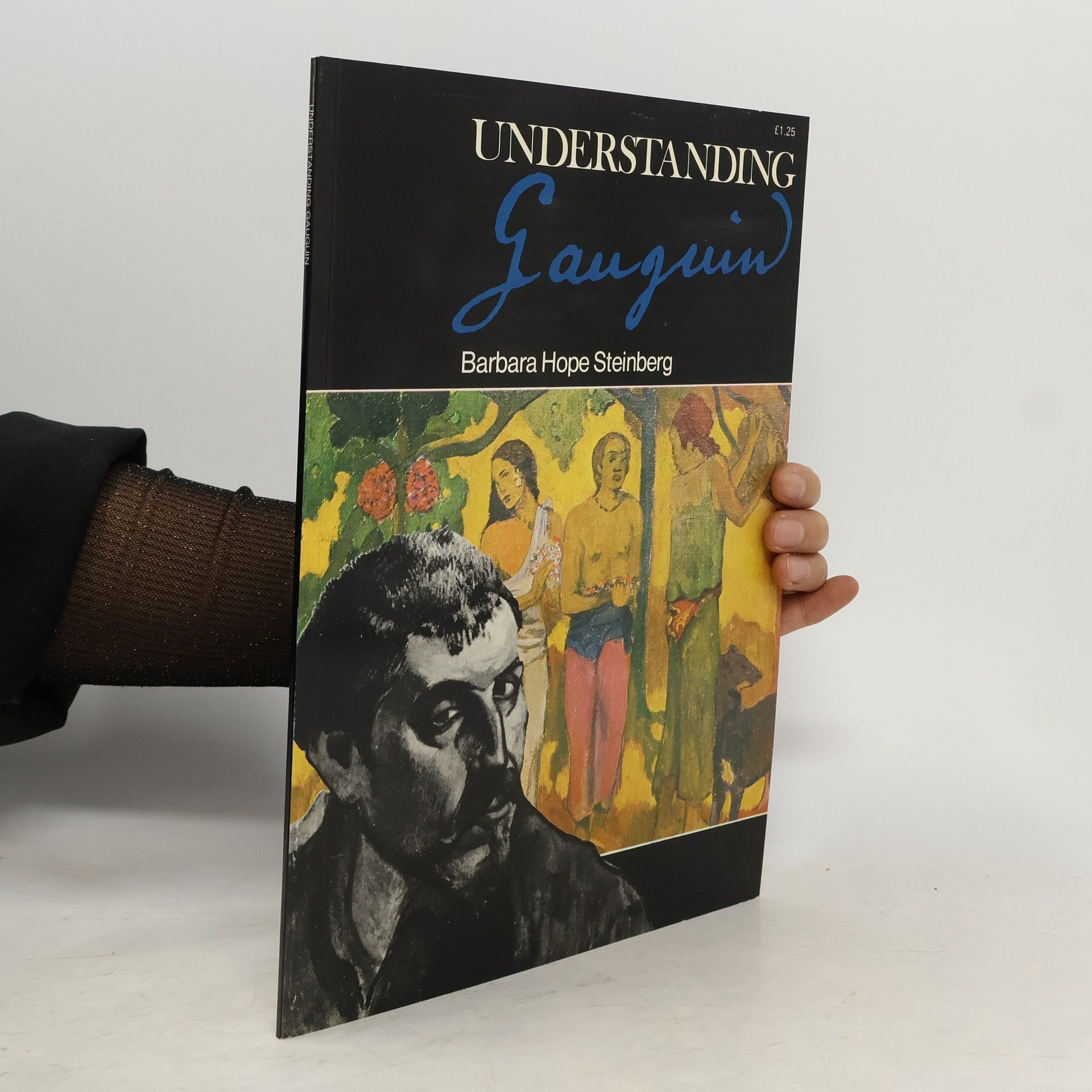 Barbara Hope Steinberg Understanding Gauguin