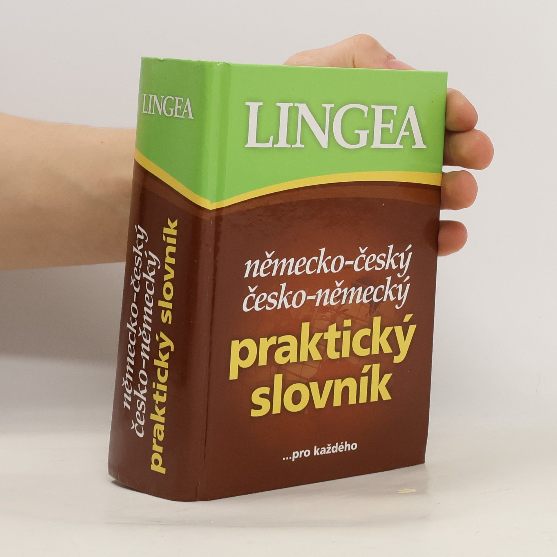Autorenkollektiv Německo-český, česko-německý praktický slovník
