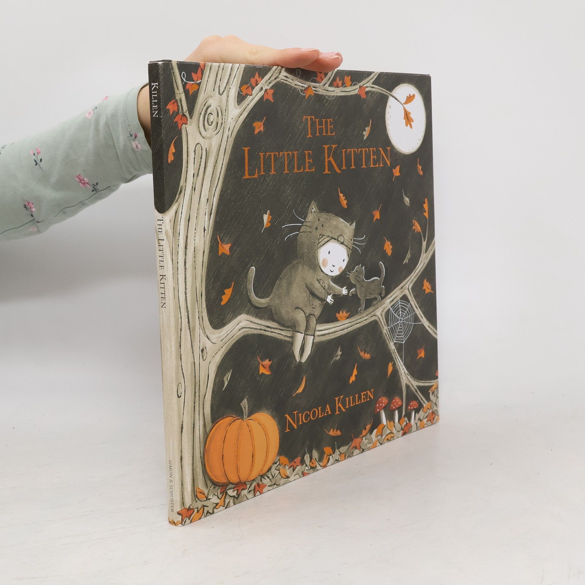 Nicola Killen My Little Animal Friend: The Little Kitten