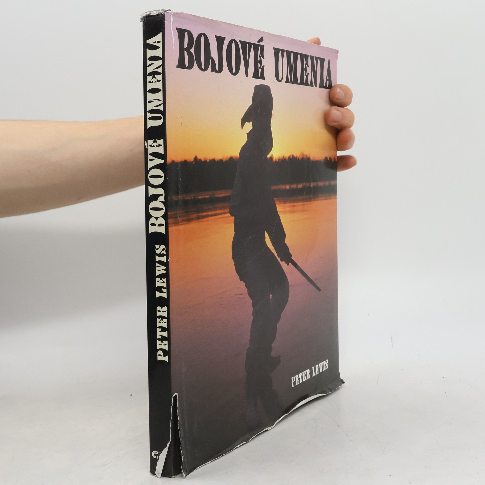 Peter Lewis Bojové umenia