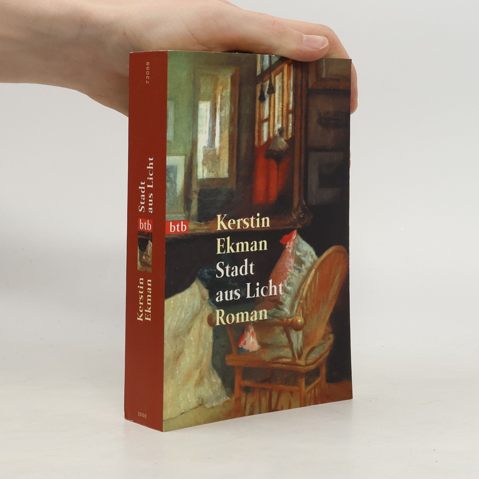 Kerstin Ekman Stadt aus Licht