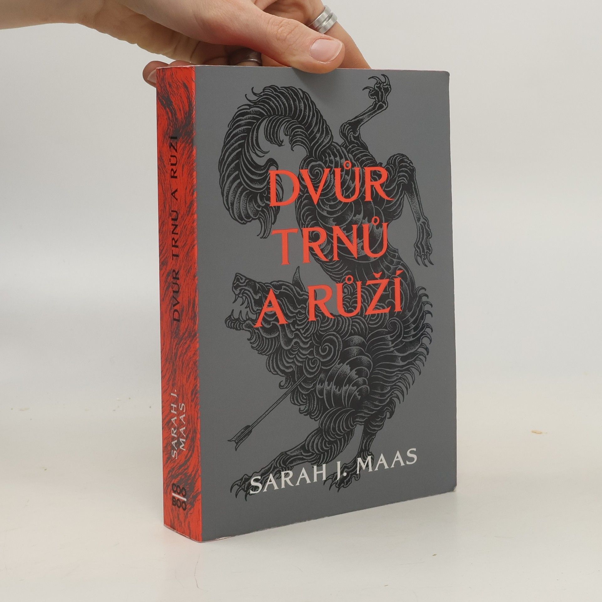 Dvůr trnů a růží