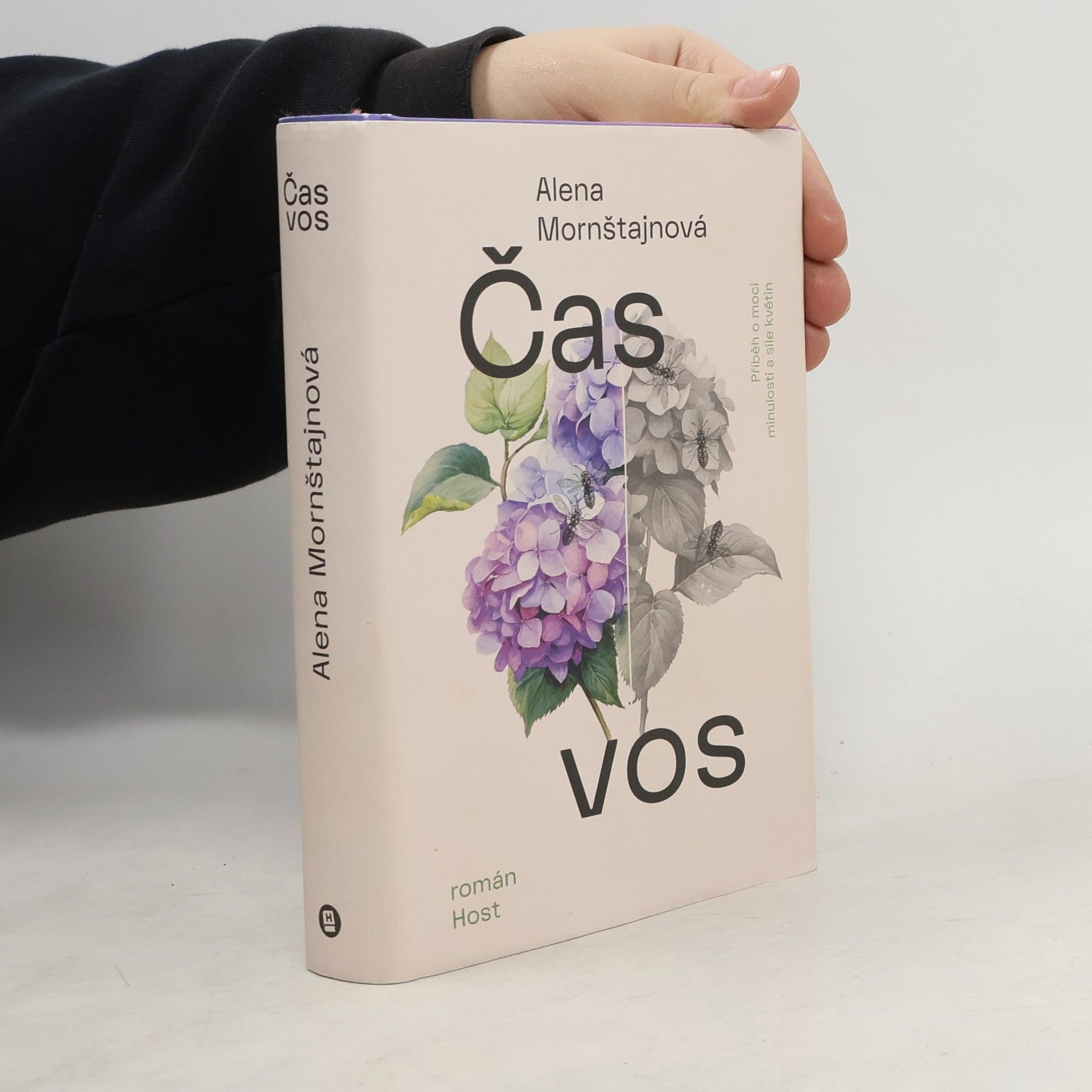 Alena Mornštajnová Čas vos