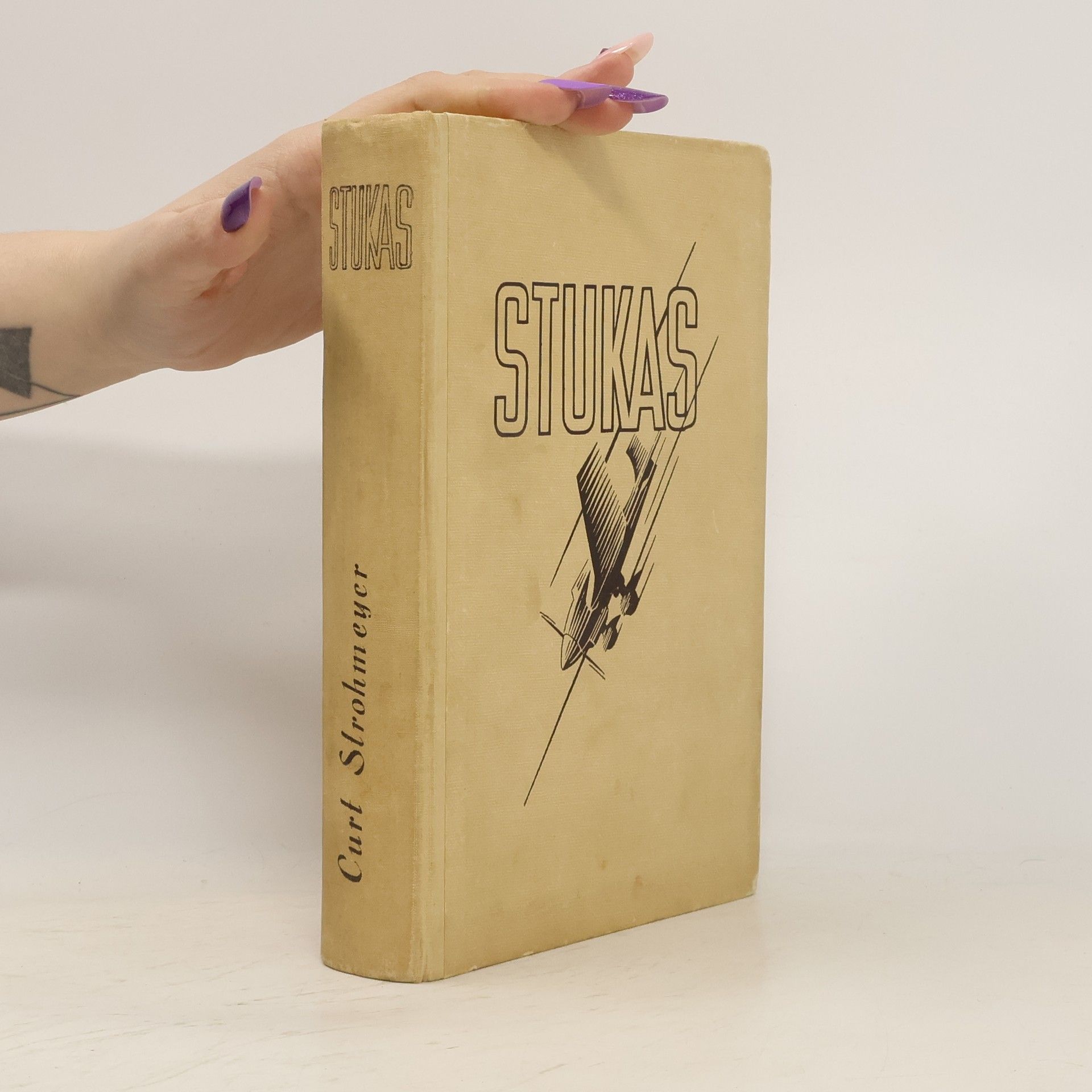 Curt Strohmeyer Stukas! Erlebnis eines Fliegerkorps