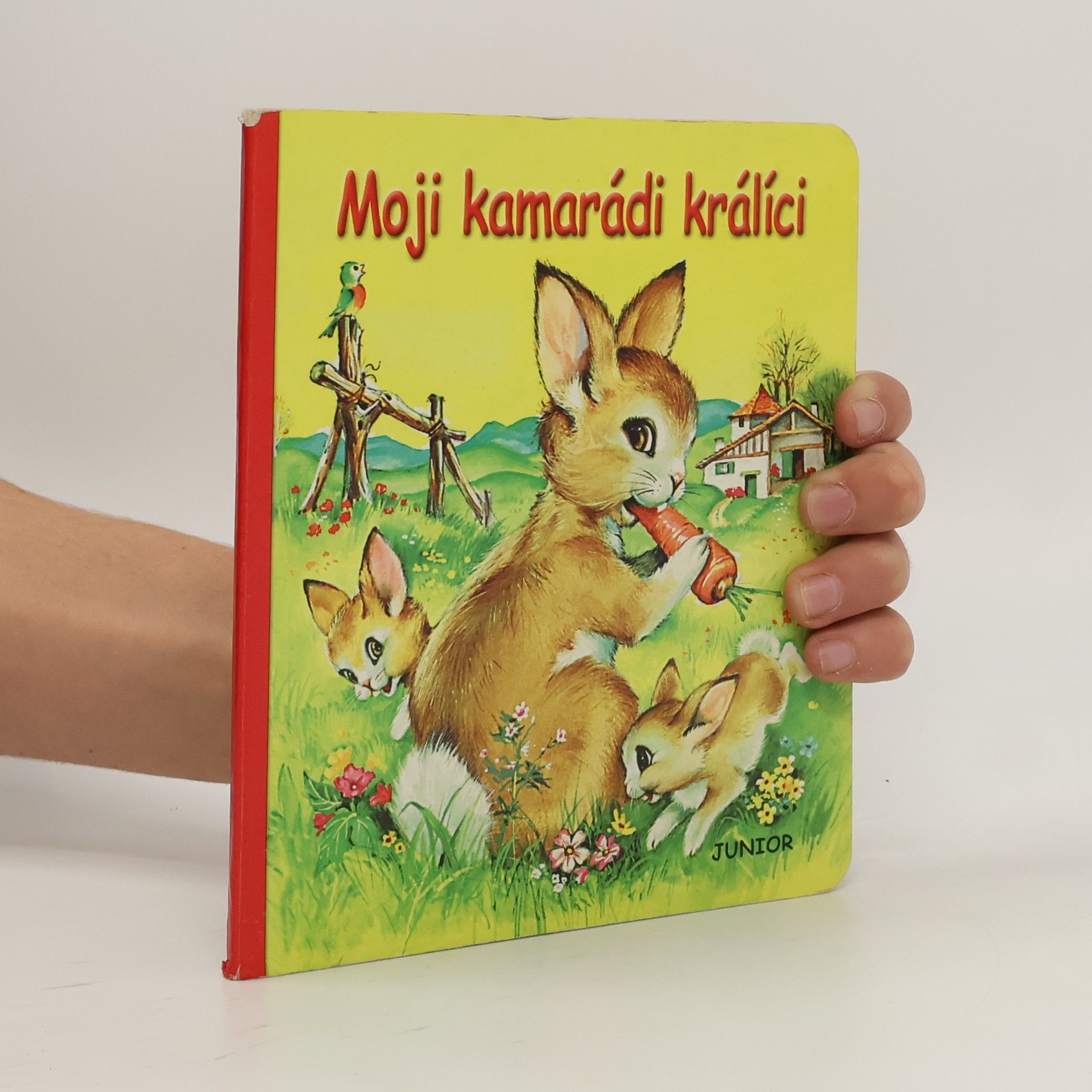 Pierre Couronne Moji kamarádi králíci