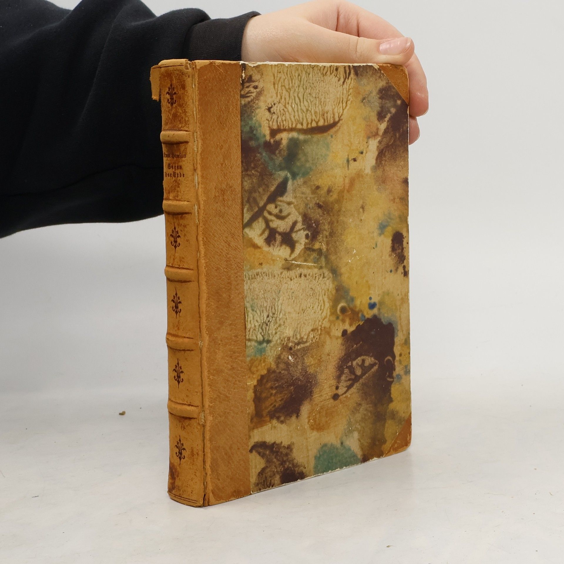 Knut Hamsun Segen der Erde