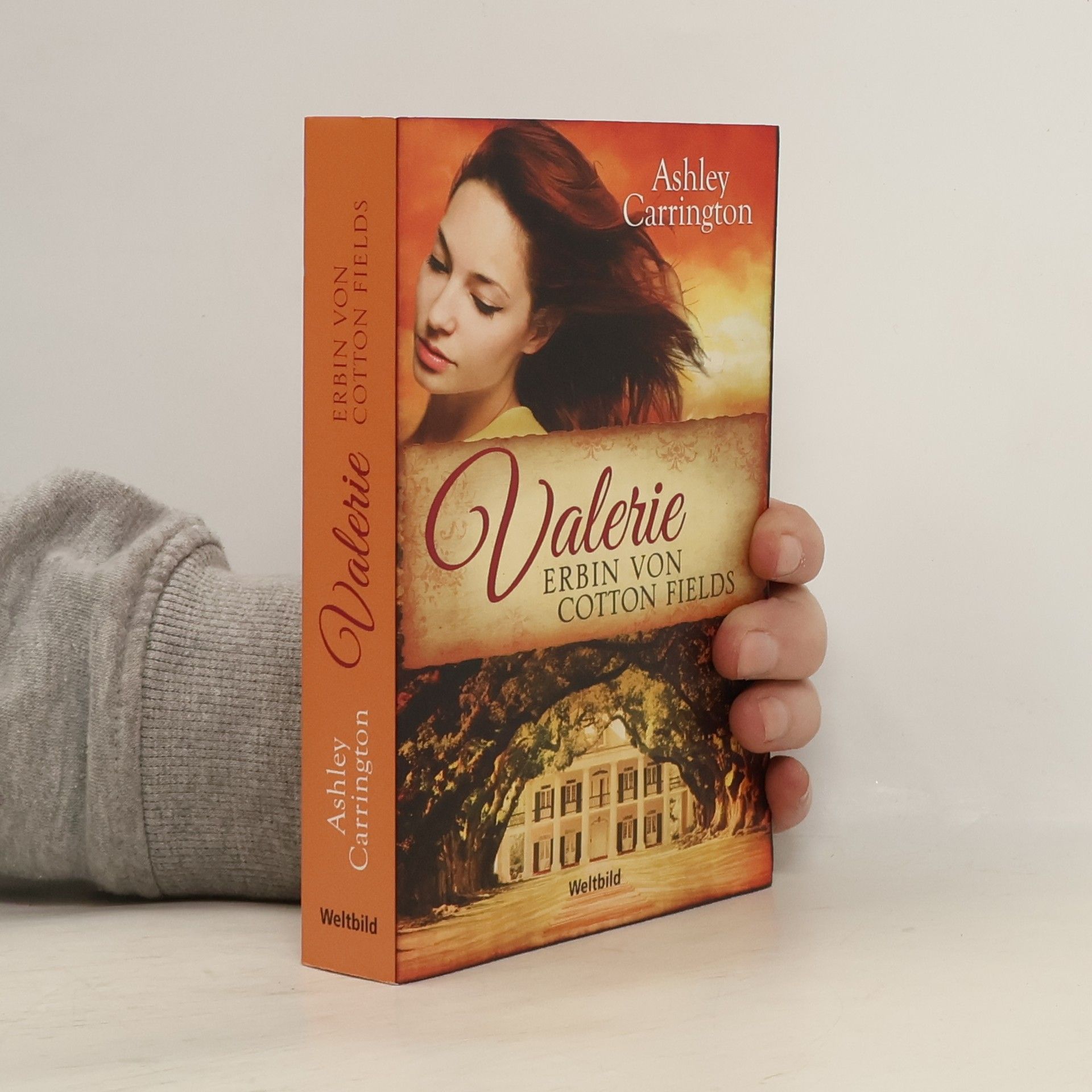 Rainer M. Schröder Valerie - Erbin von Cotton Fields