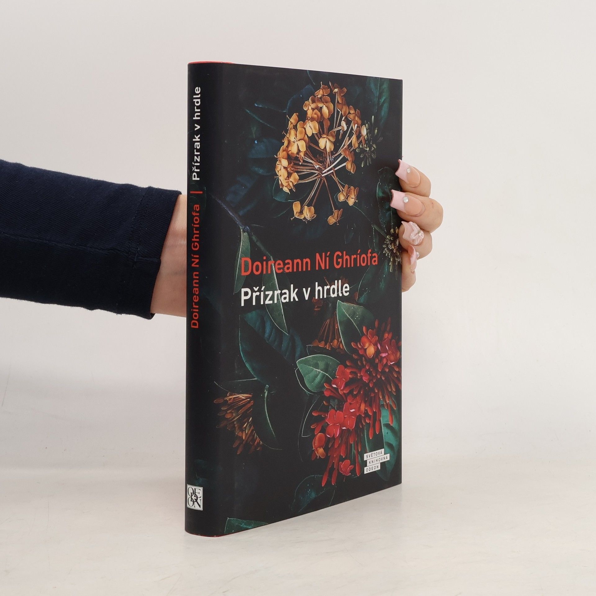 Doireann Ní Ghríofa Přízrak v hrdle