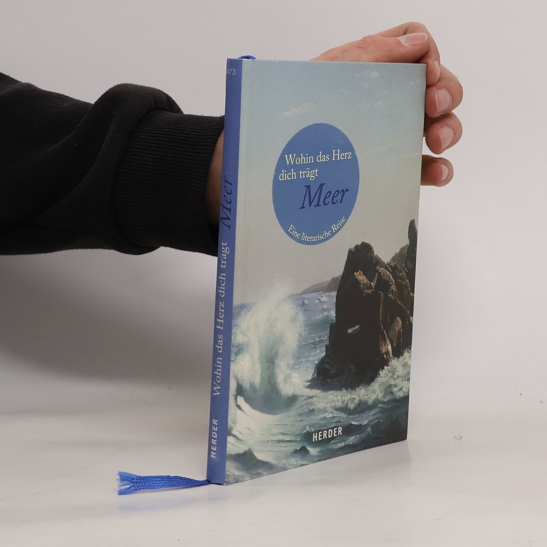 Liane Dirks Wohin das Herz dich trägt - Meer