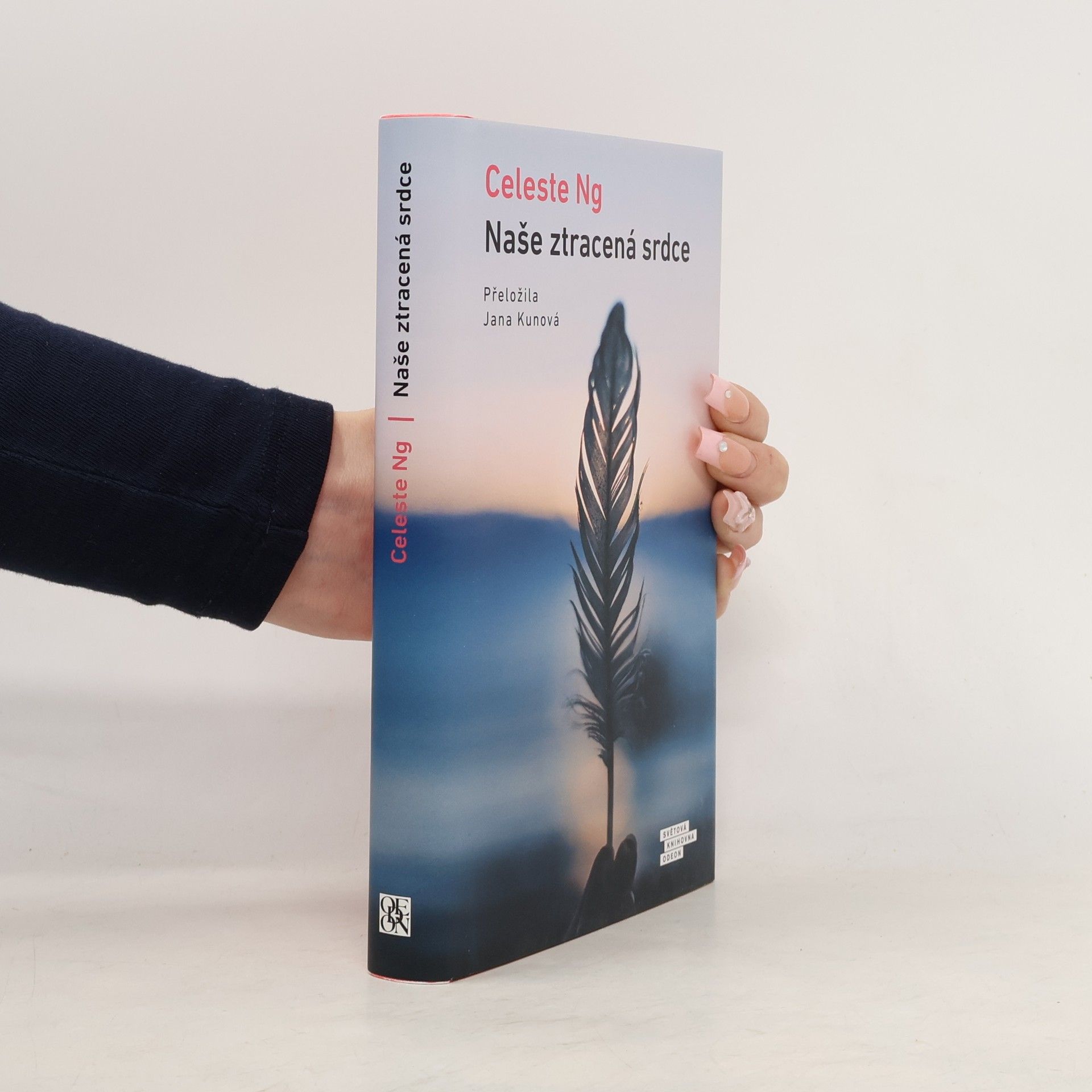 Celeste Ng Naše ztracená srdce