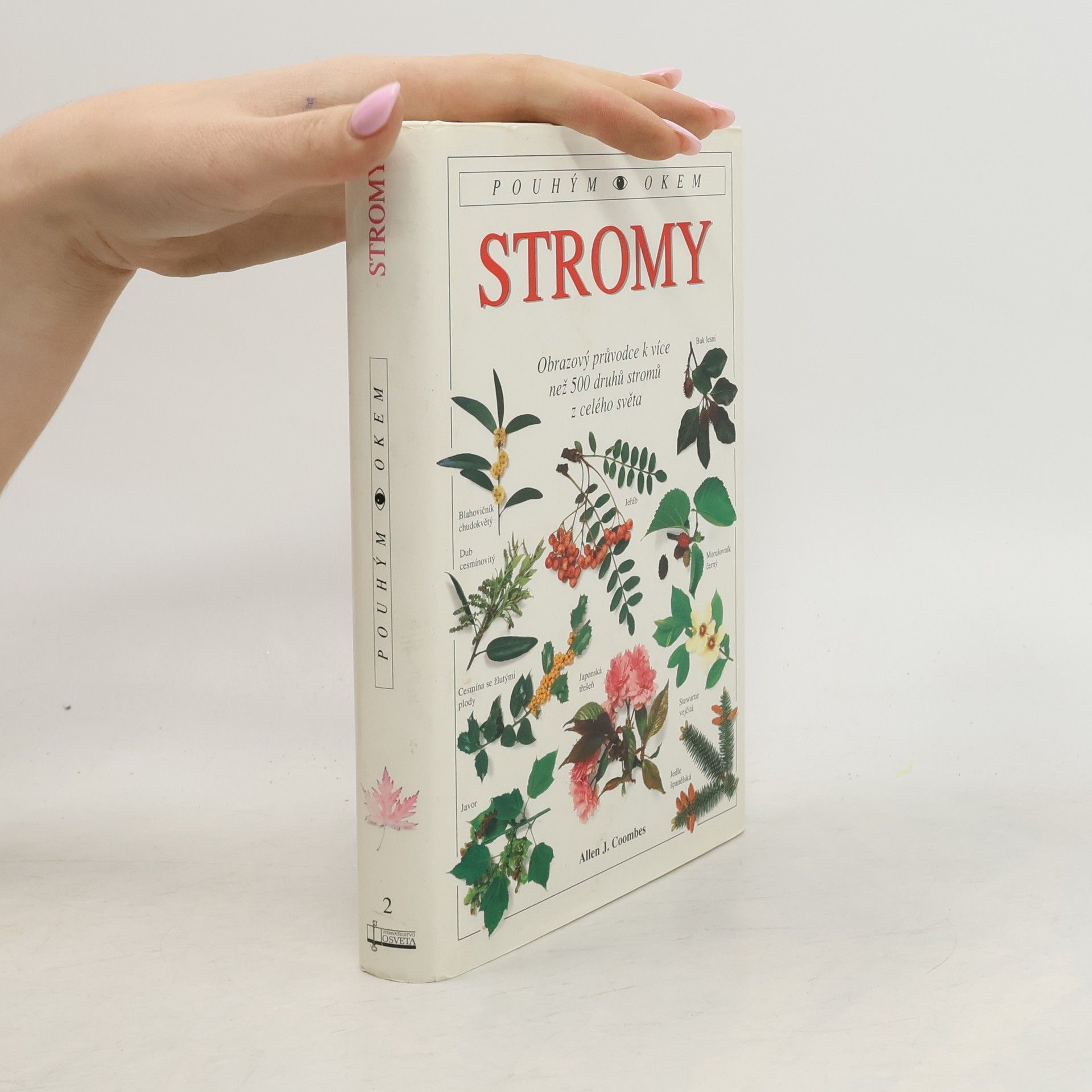 Stromy