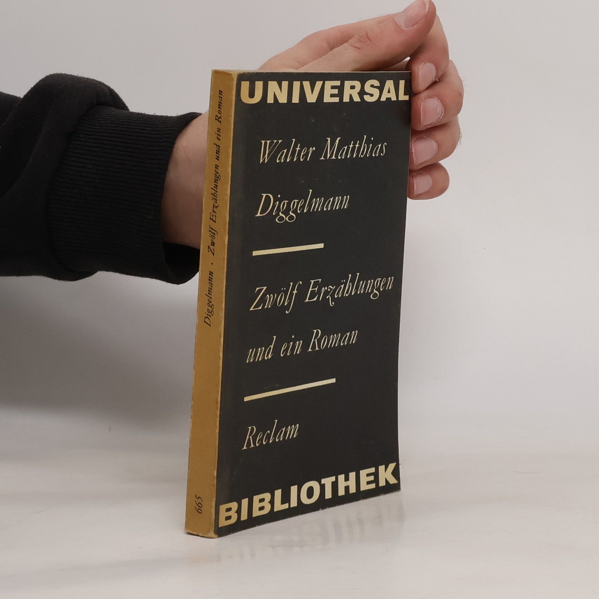 Zwölf Erzählungen und ein Roman