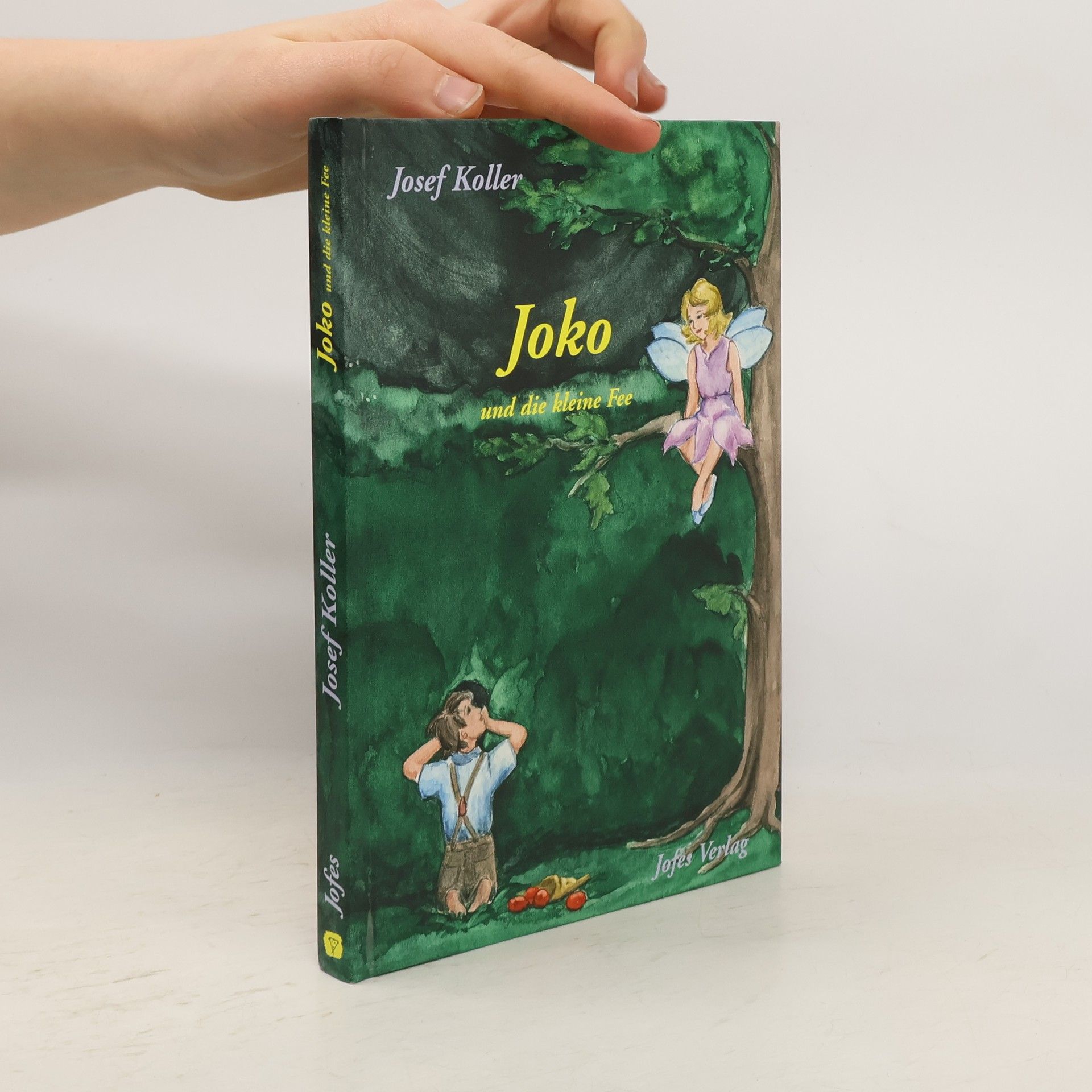 Joko und die kleine Fee