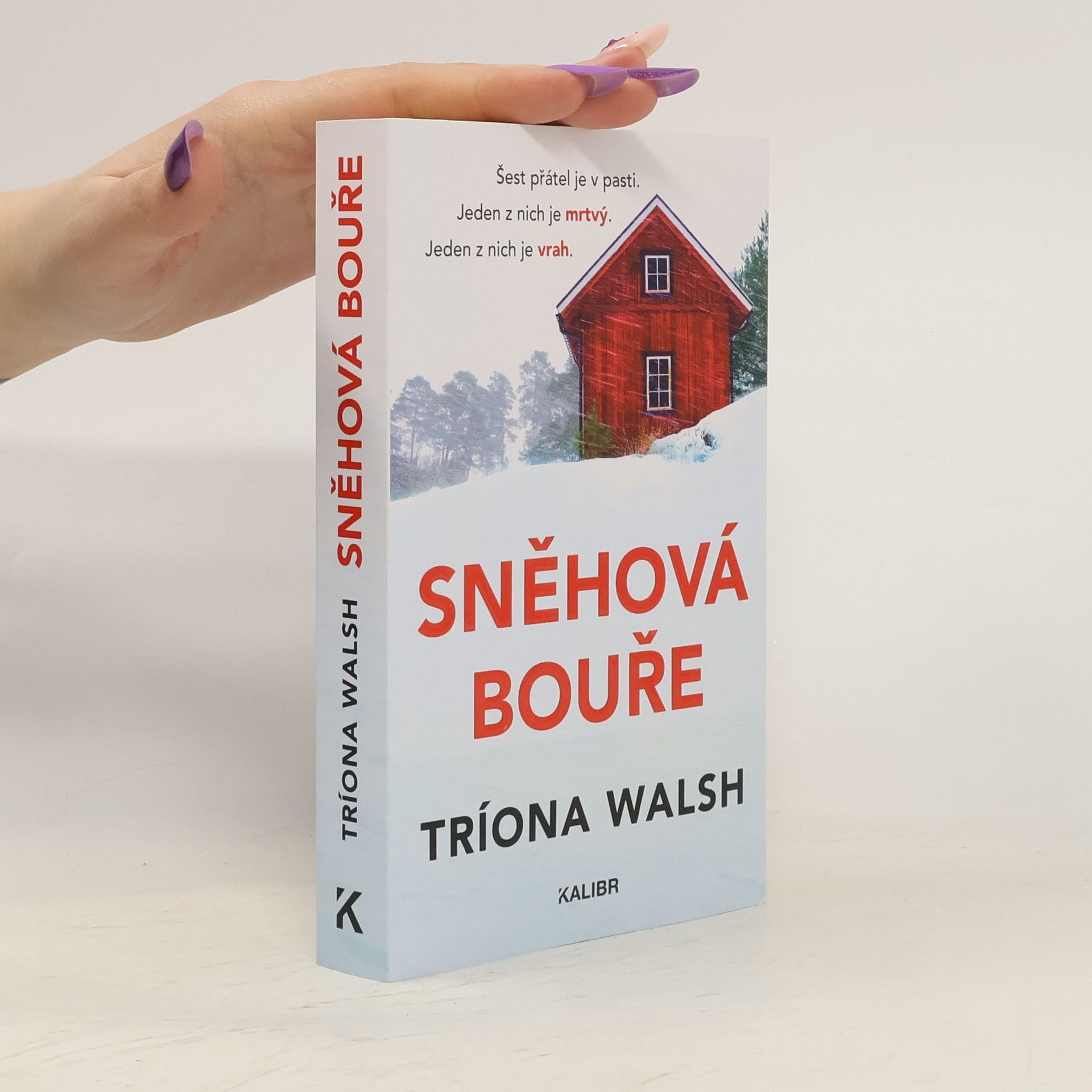 Tríona Walsh Sněhová bouře