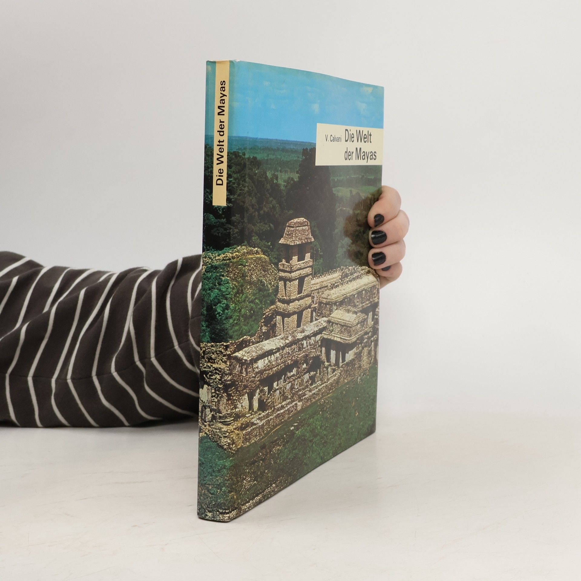 Vittoria Calvani Die Welt der Mayas