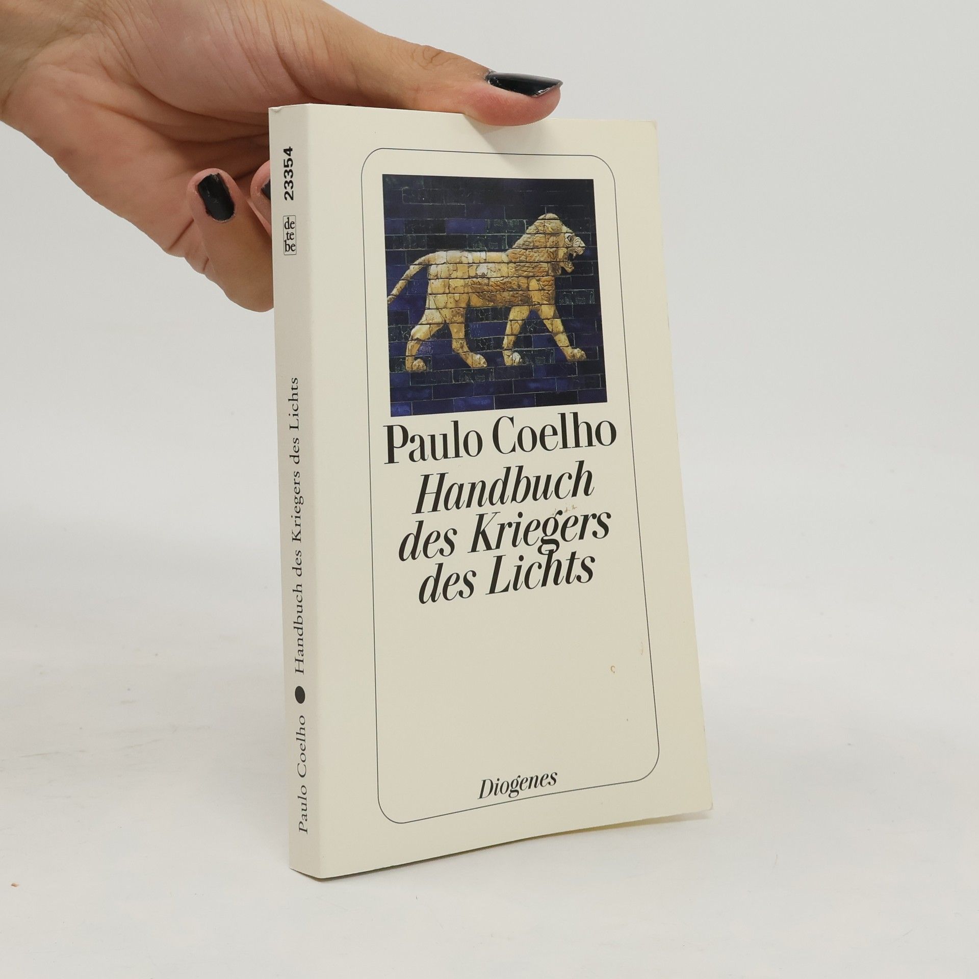 Paulo Coelho Handbuch des Kriegers des Lichts