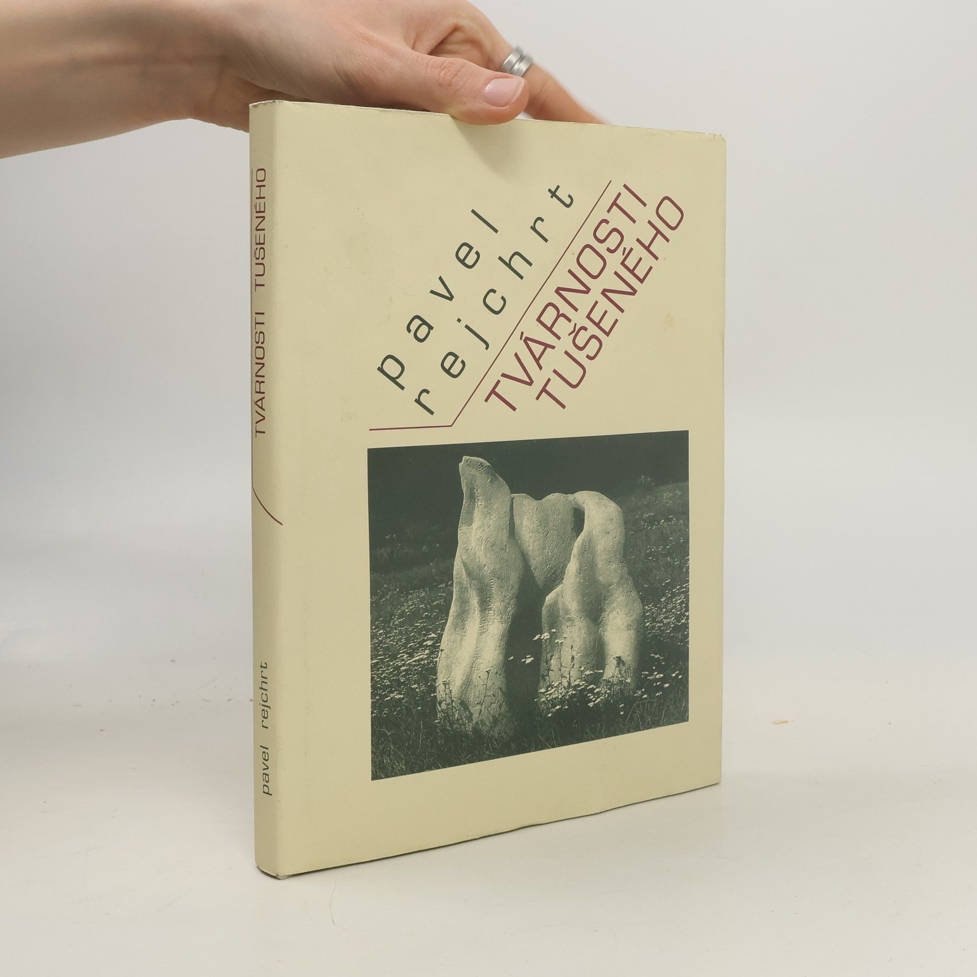 Pavel Rejchrt Tvárnosti tušeného
