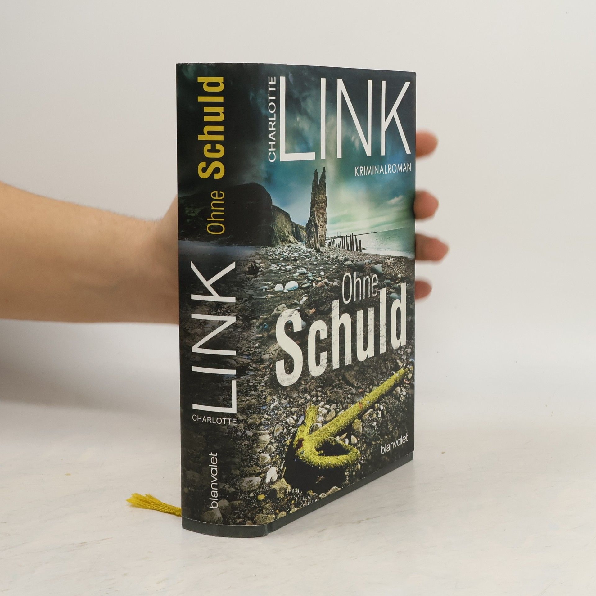 Charlotte Link Ohne Schuld