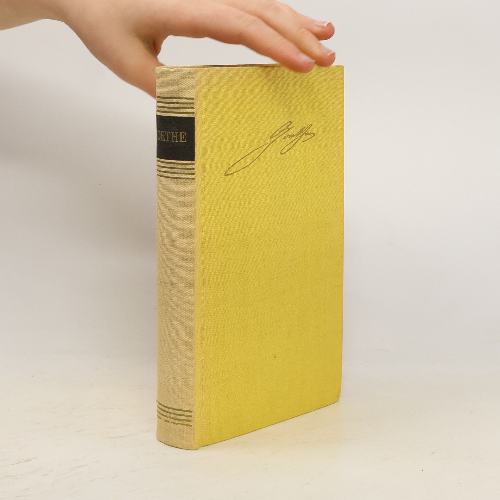 Walther Victor Goethe. Ein Lesebuch für unsere Zeit